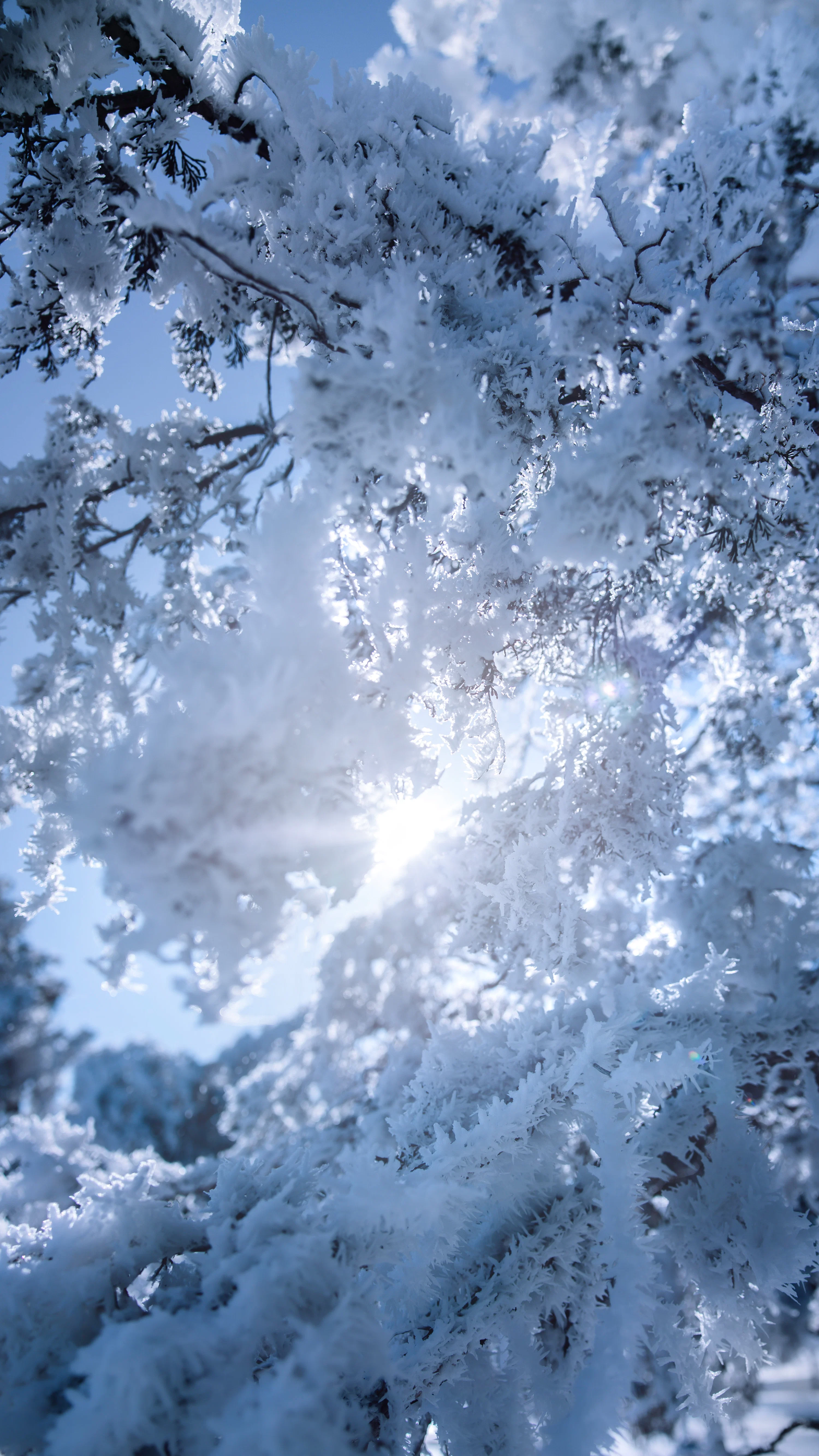 Cold Wallpaper Picture. Download Free Image