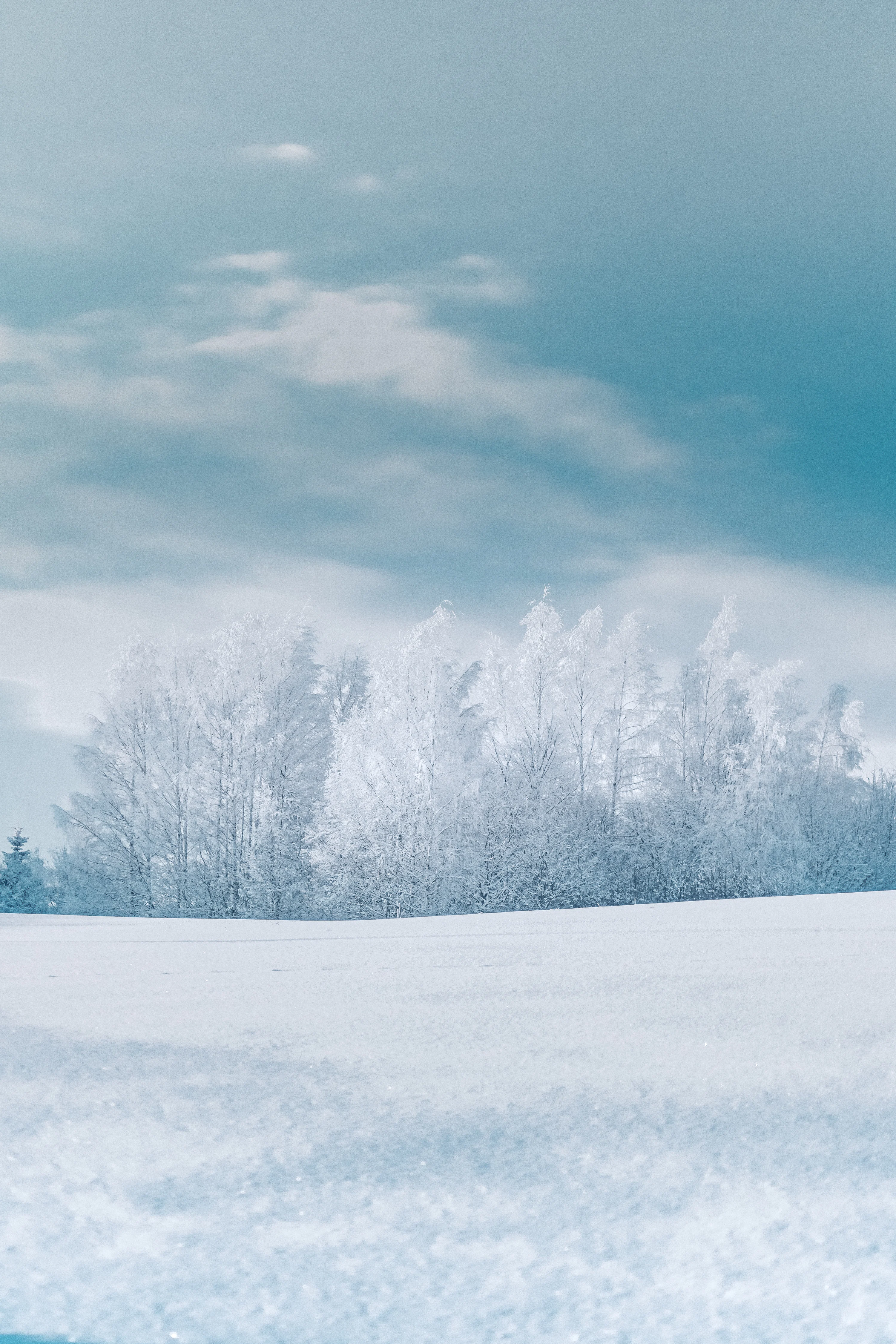 Cold Wallpaper Picture. Download Free Image