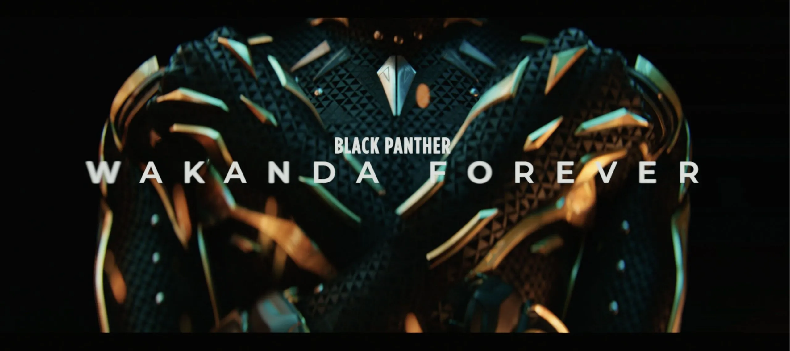 Perception Designs Intimate And Emotional Title Sequence For Marvel Studios' Black Panther: Wakanda Forever