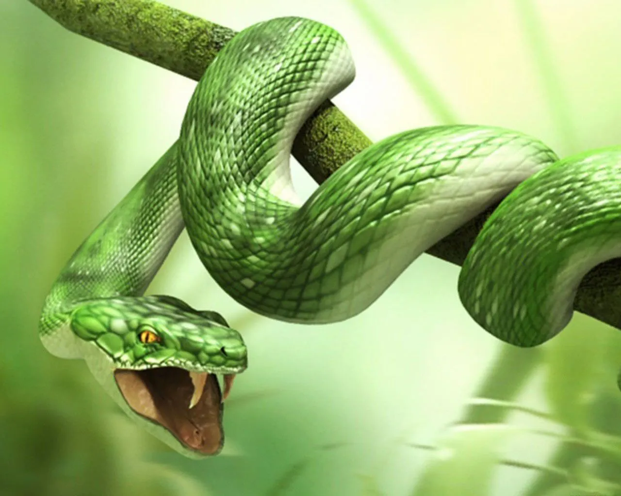 Desktop wallpaper: Snake, Animal 4K free download for PC. 1465244