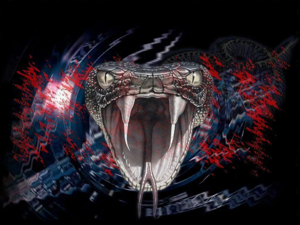 Viper Snake HD Desktop Wallpaper 75848