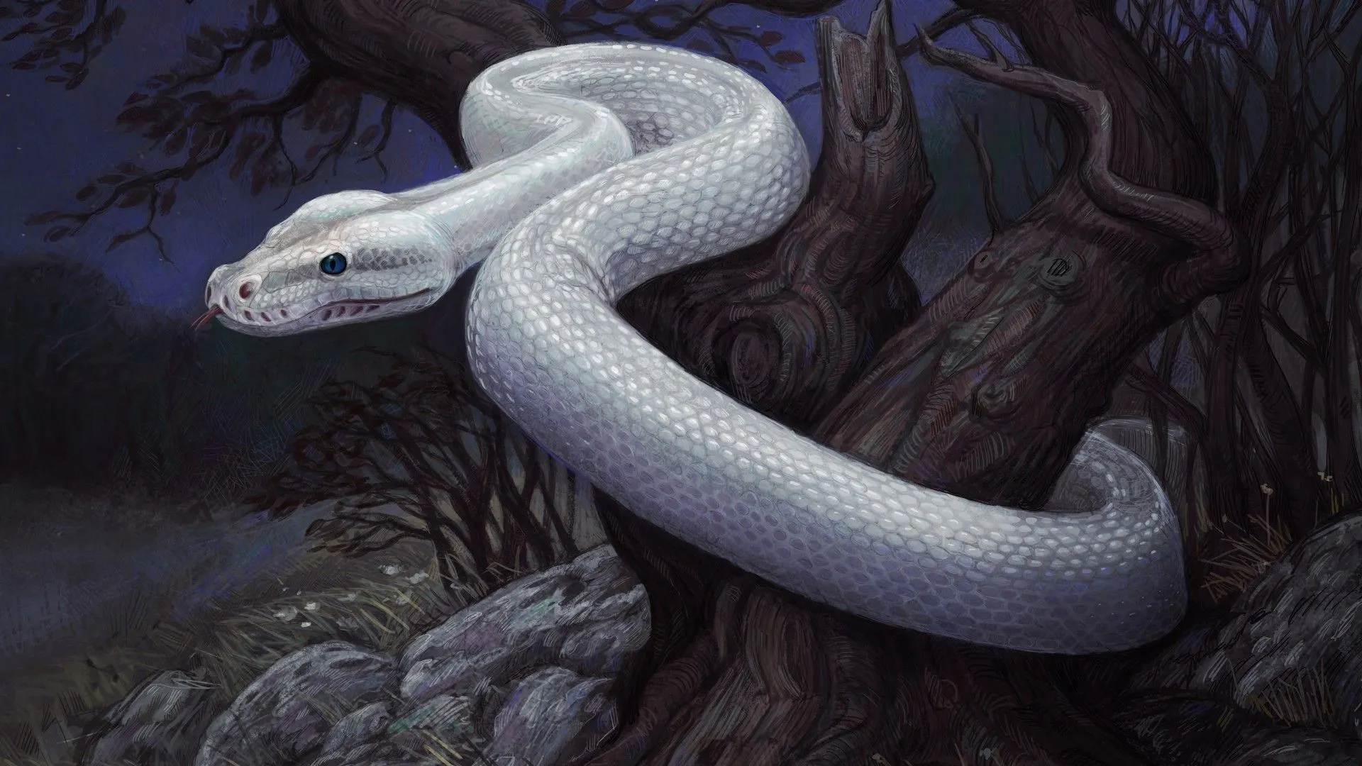 A white creeping snake is preparing to attack