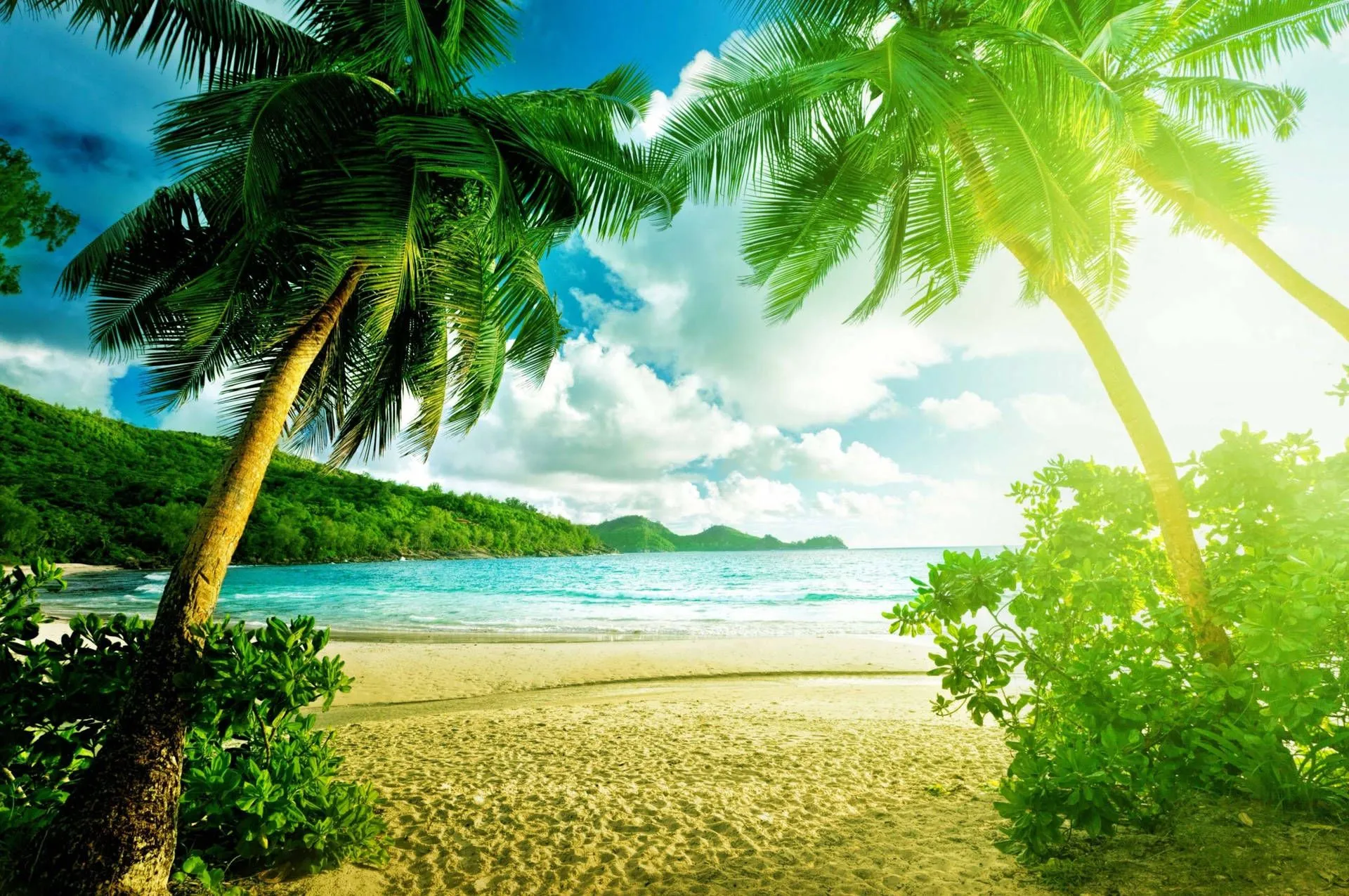 Summer Season Background
