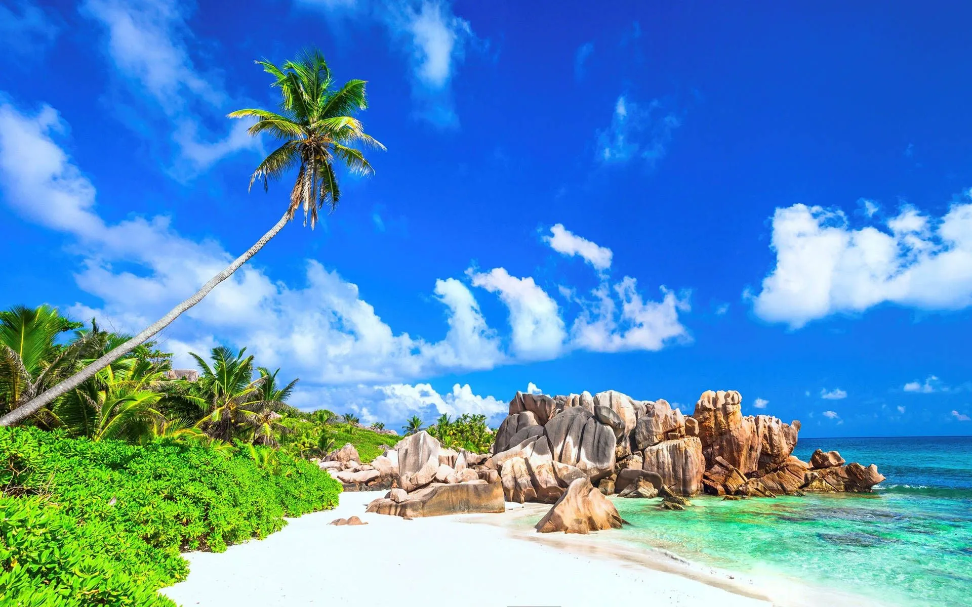 Download Summer Season Captivating Island Wallpaper