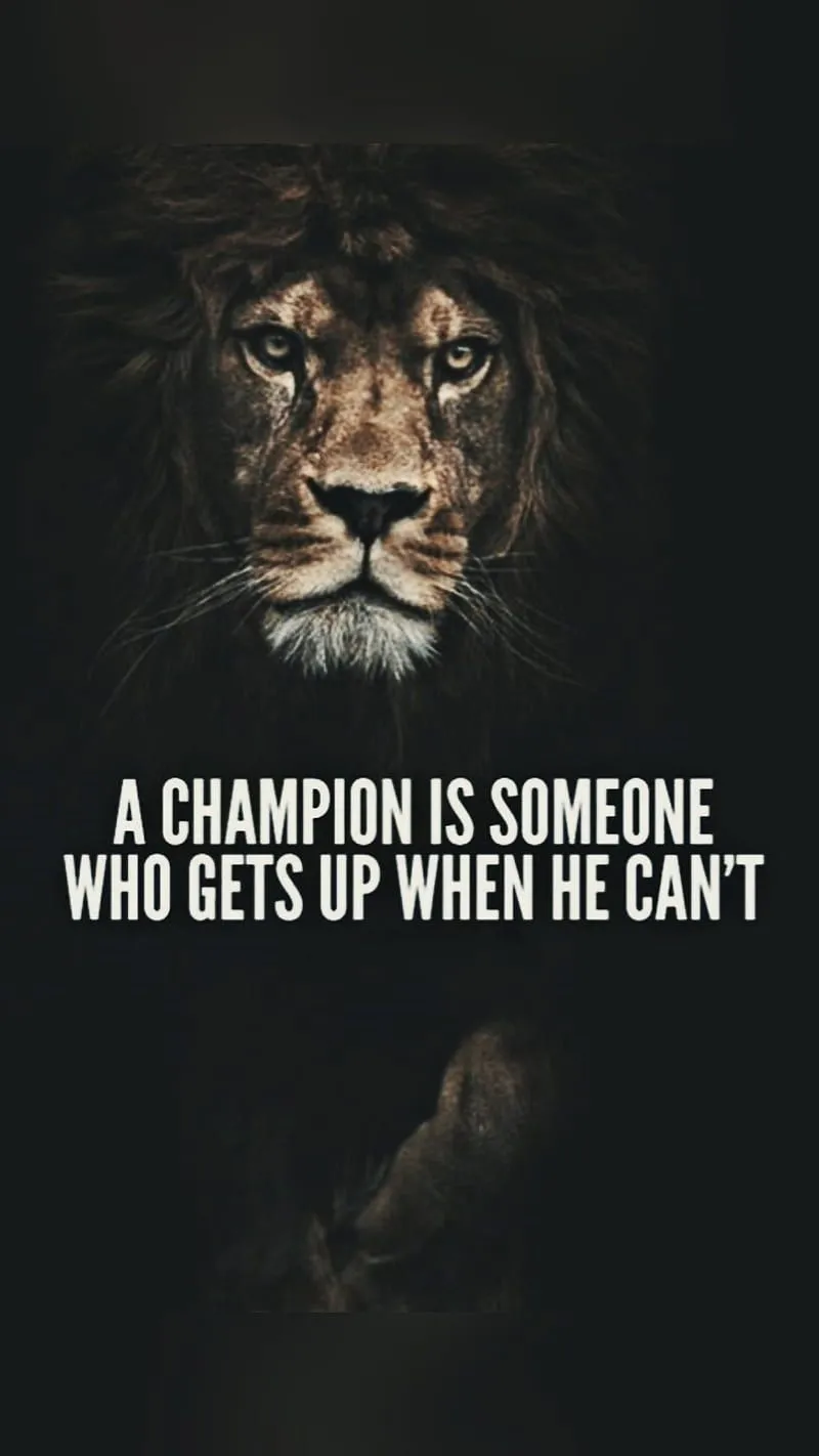 Motivation quotes, beast, king, lion, lions, mode, motivation, one, one piece, HD phone wallpaper