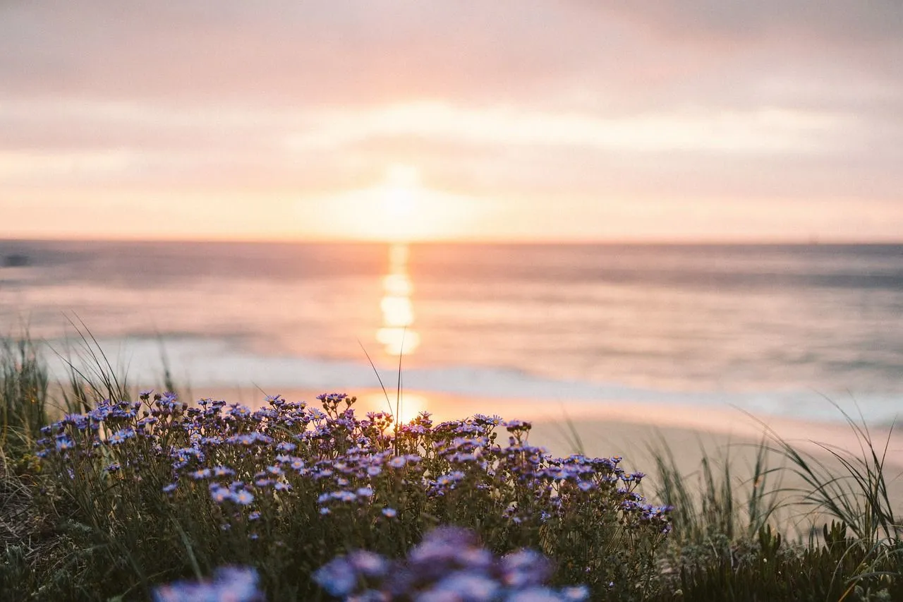Nature Beach Sunset