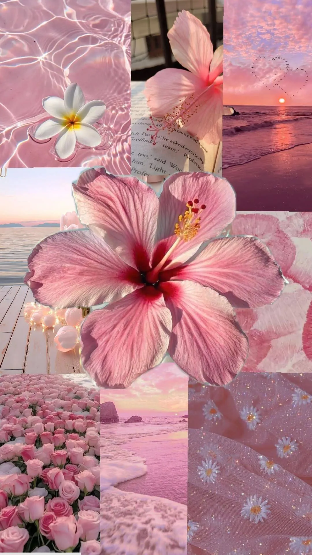 Summer Wallpaper With Flowers And Sunset For Mobile IPhone 4K