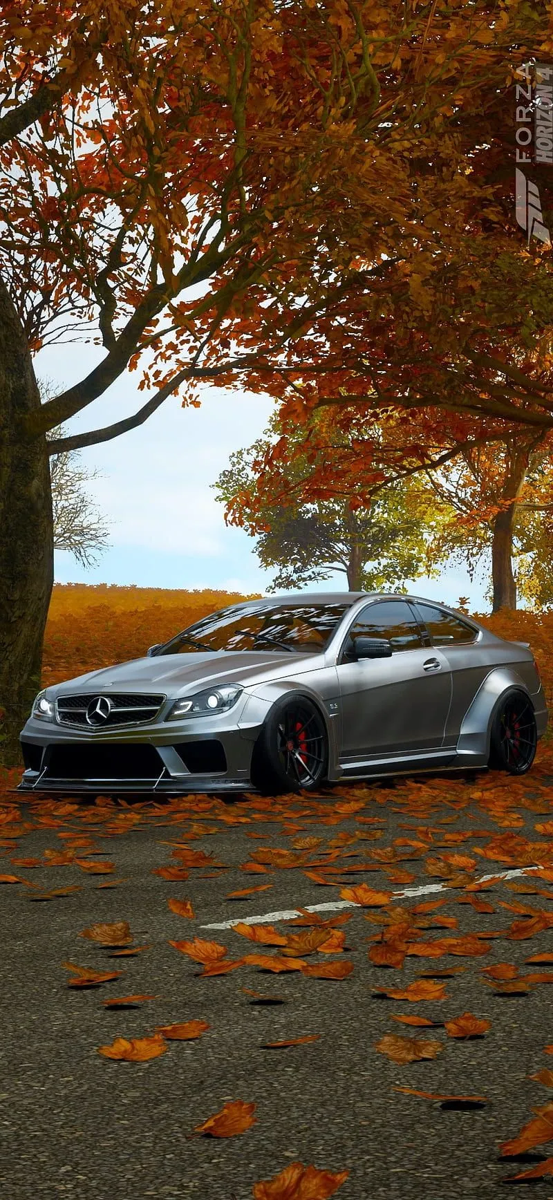 Mercedes Benz C63, Car, Nature, HD Phone Wallpaper