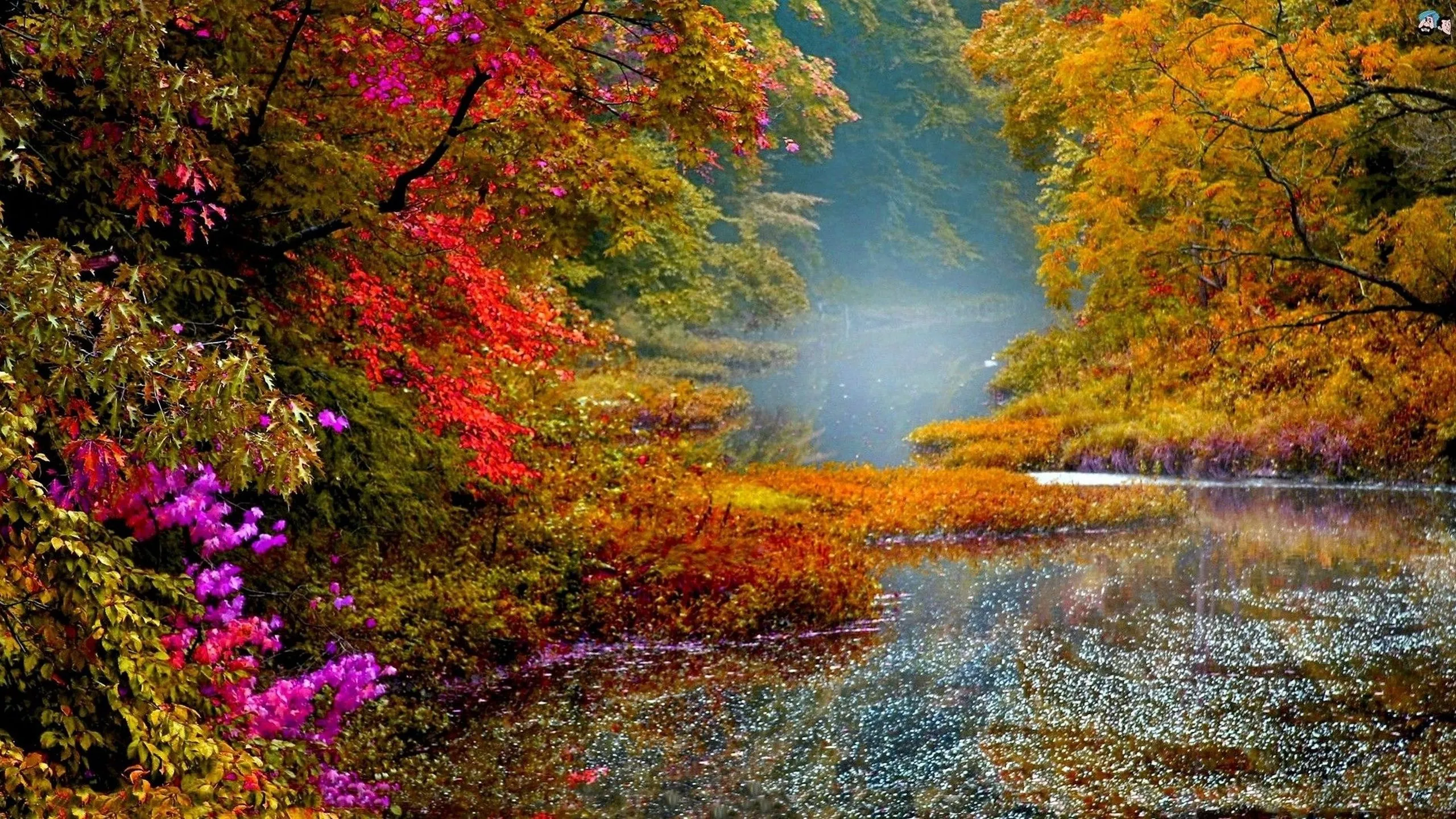 Wallpaper Nature, Leaf, Reflection, Autumn, Water, Background Free Image
