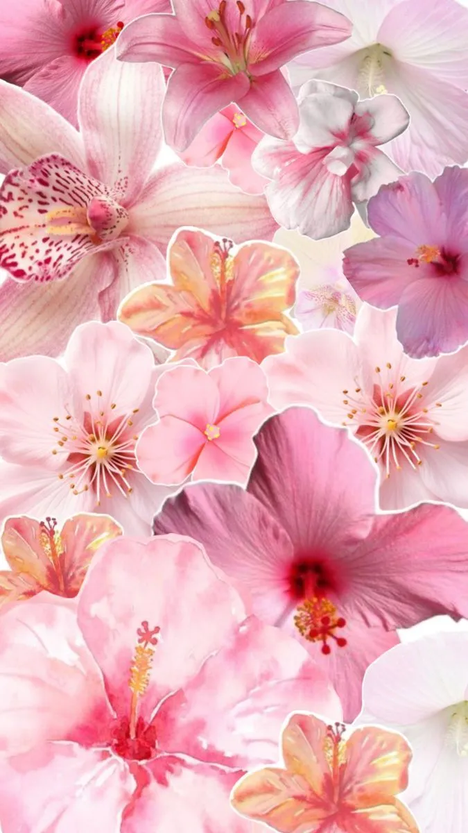 Hibiscus wallpaper collage full screen pink flowers. Fiori rosa, iPad