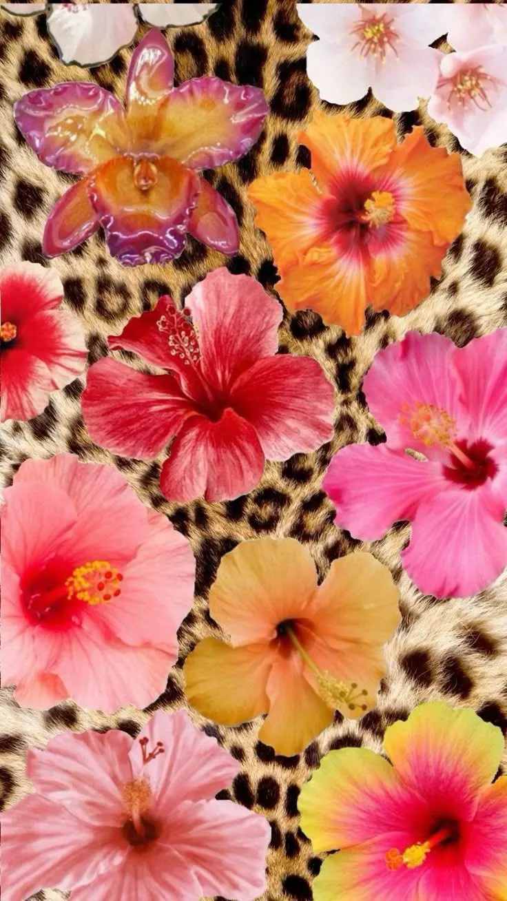 Hibiscus cheetah print wallpaper