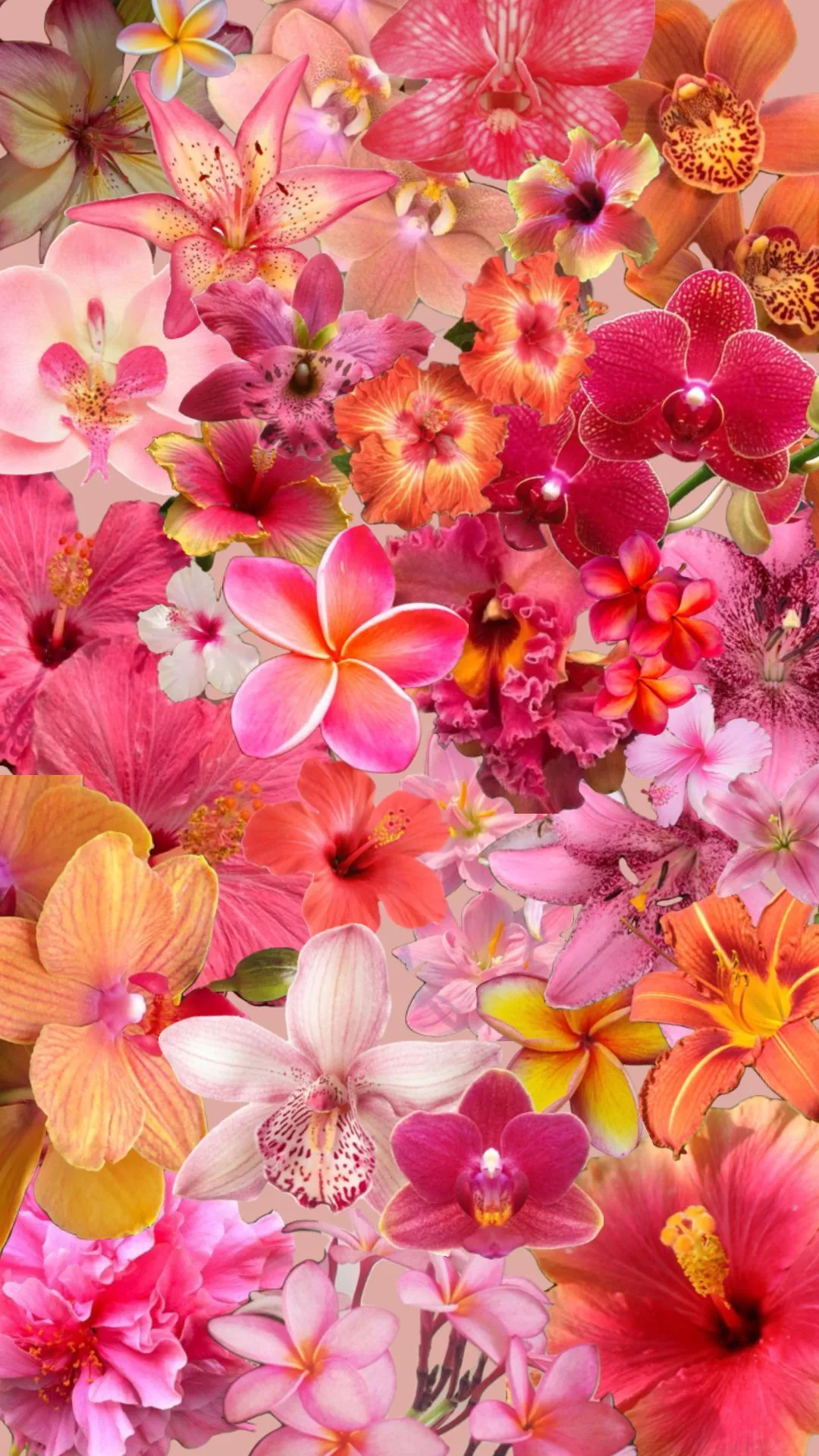 Hibiscus Collage Wallpaper