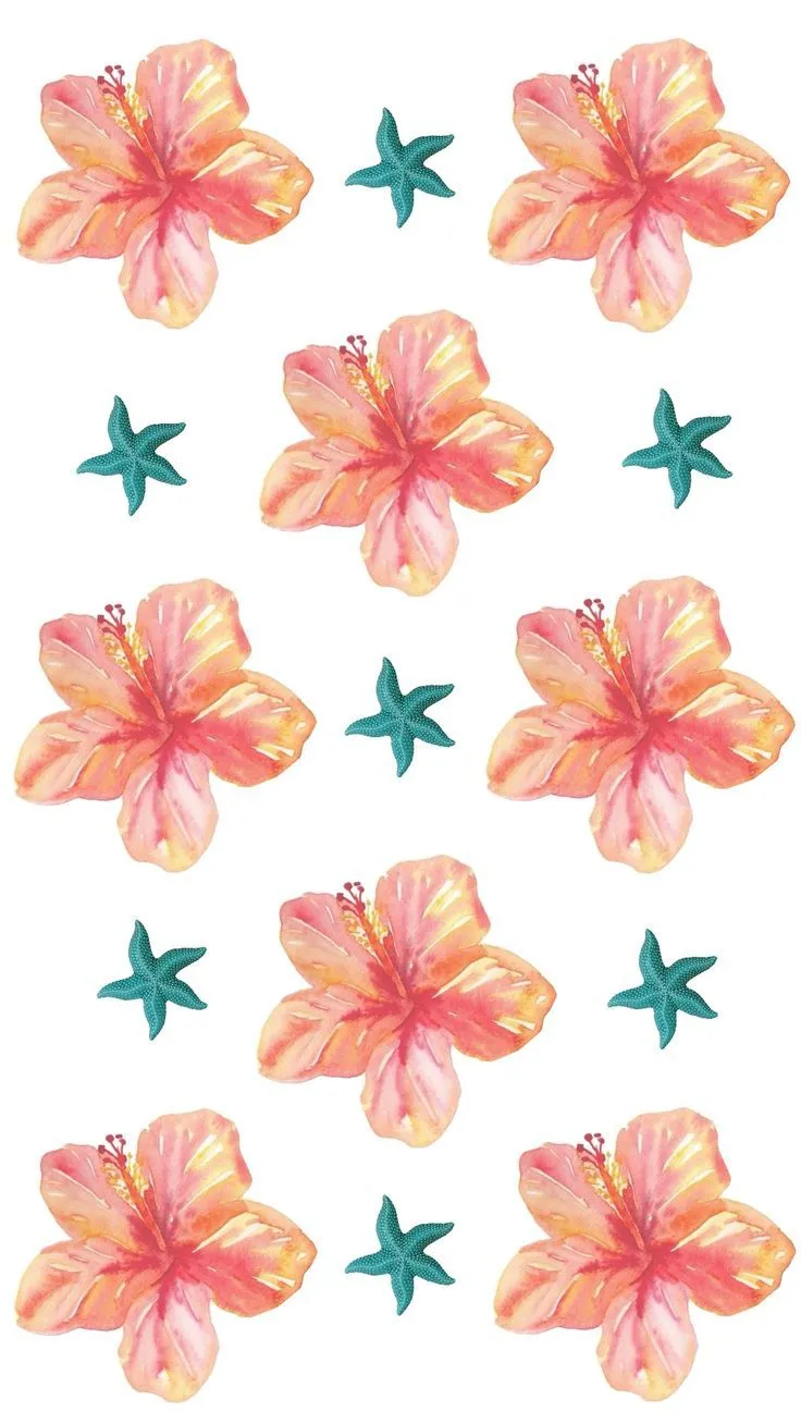summer#hibiscus#starfish#simple#basic#wallpaper