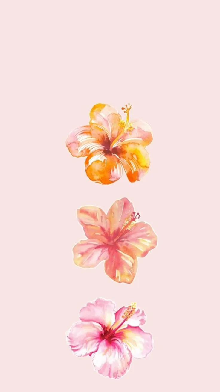 hibiscus wallpaper