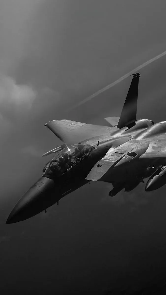 Jet Fighter Pilot Career in the US Air Force. Black and gray jet plane, Military planes image, Military training aircraft wallpaper