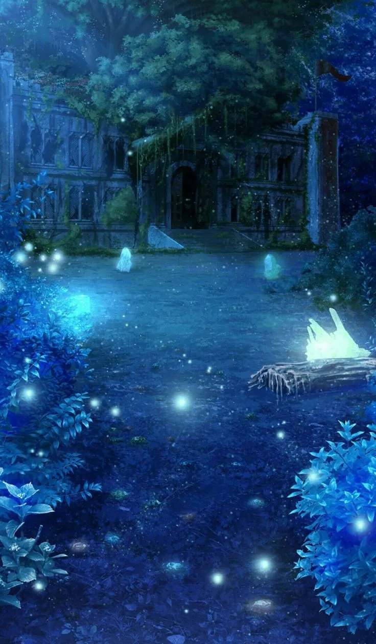 Ruins of the Old Castle Night View