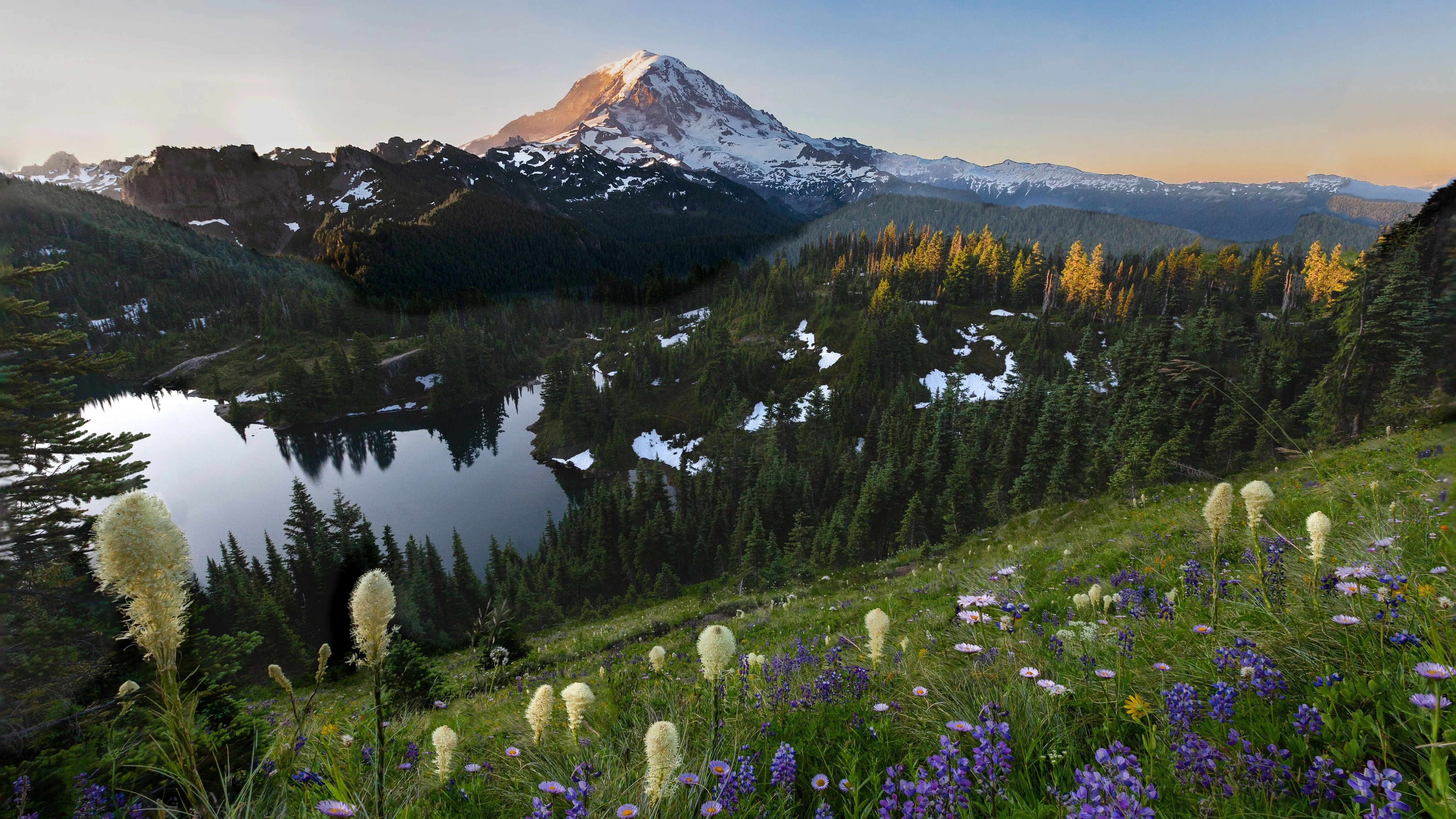 Wallpaper Tolmie Peak Fire Lookout, Tablet, Mountain, Plant, Flower, Background Free Image