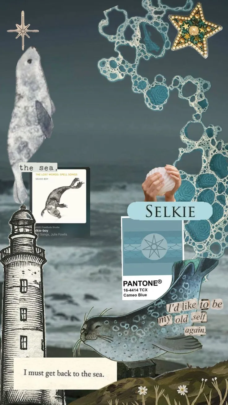 #therian #seal #otherkin #selkie #selkiecore #animal #scotland #aesthetic