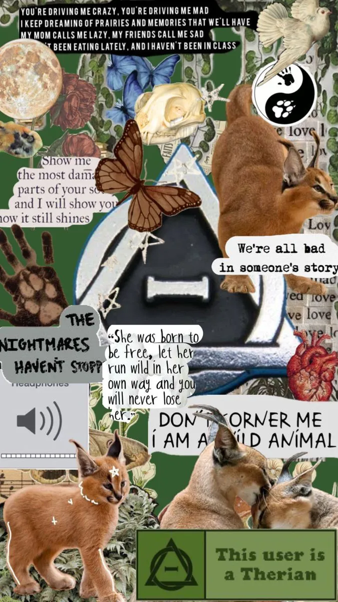 Caracal therian phone wallaper #therian #otherkin #caracal. Therian caracal, Caracal wallpaper, Other animals