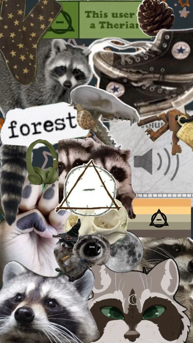 Raccoons. Otherkin, Collages, Me core