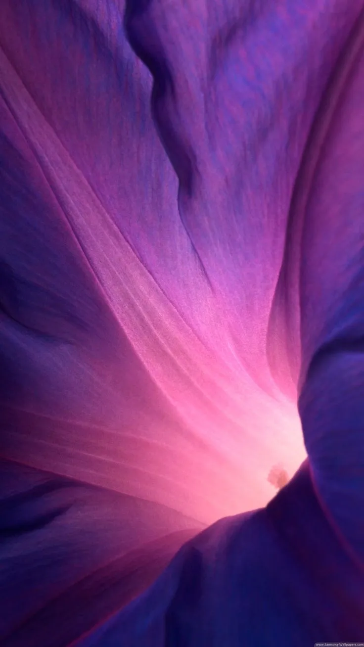 Sony Xperia Z1 Official Stock Flower Lock Screen HD Wallpaper /sony Xperia Z1 Official Stock Flower Lock Screen Hd Wallpaper