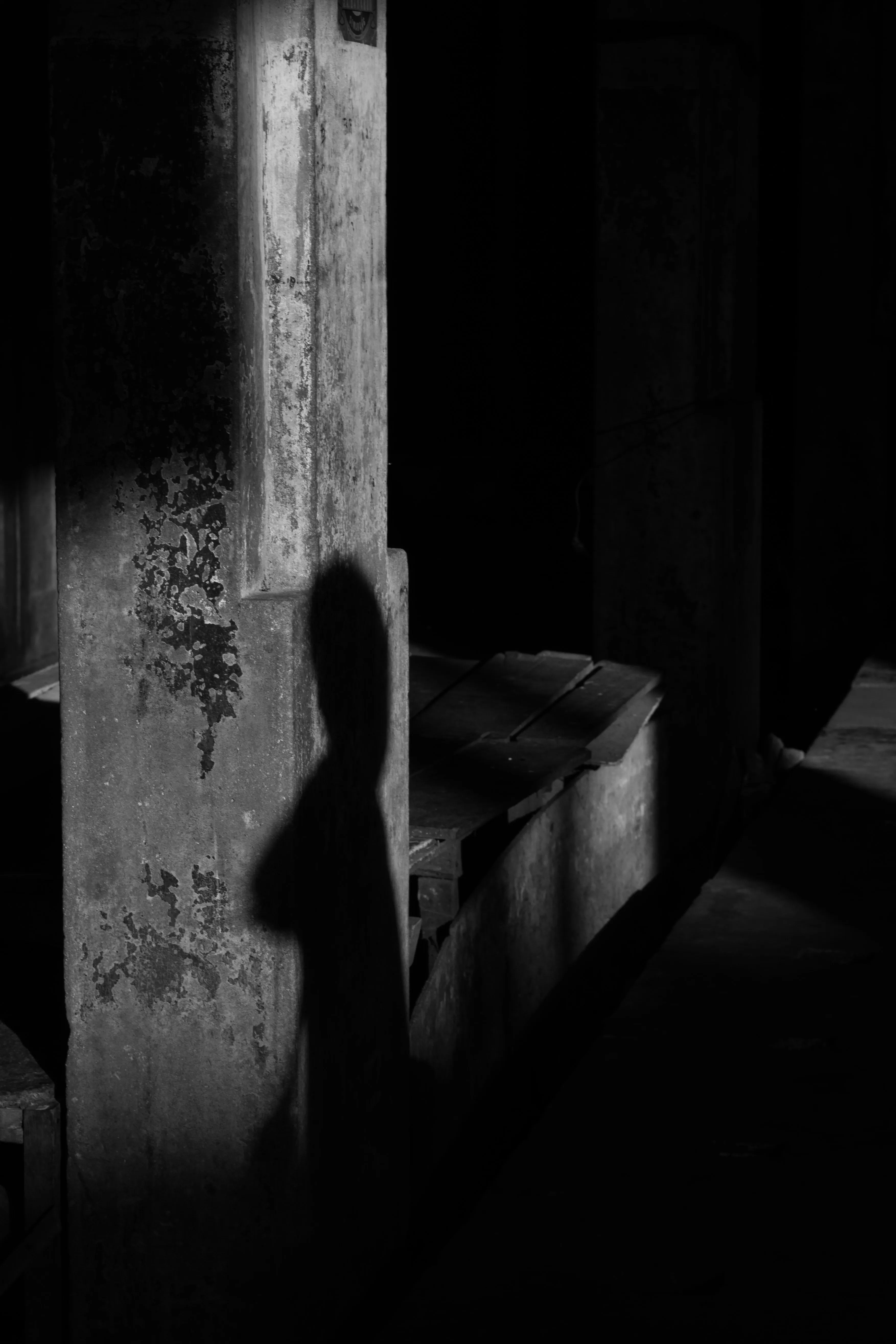 Dark Silhouette Photo, Download The BEST Free Dark Silhouette & HD Image