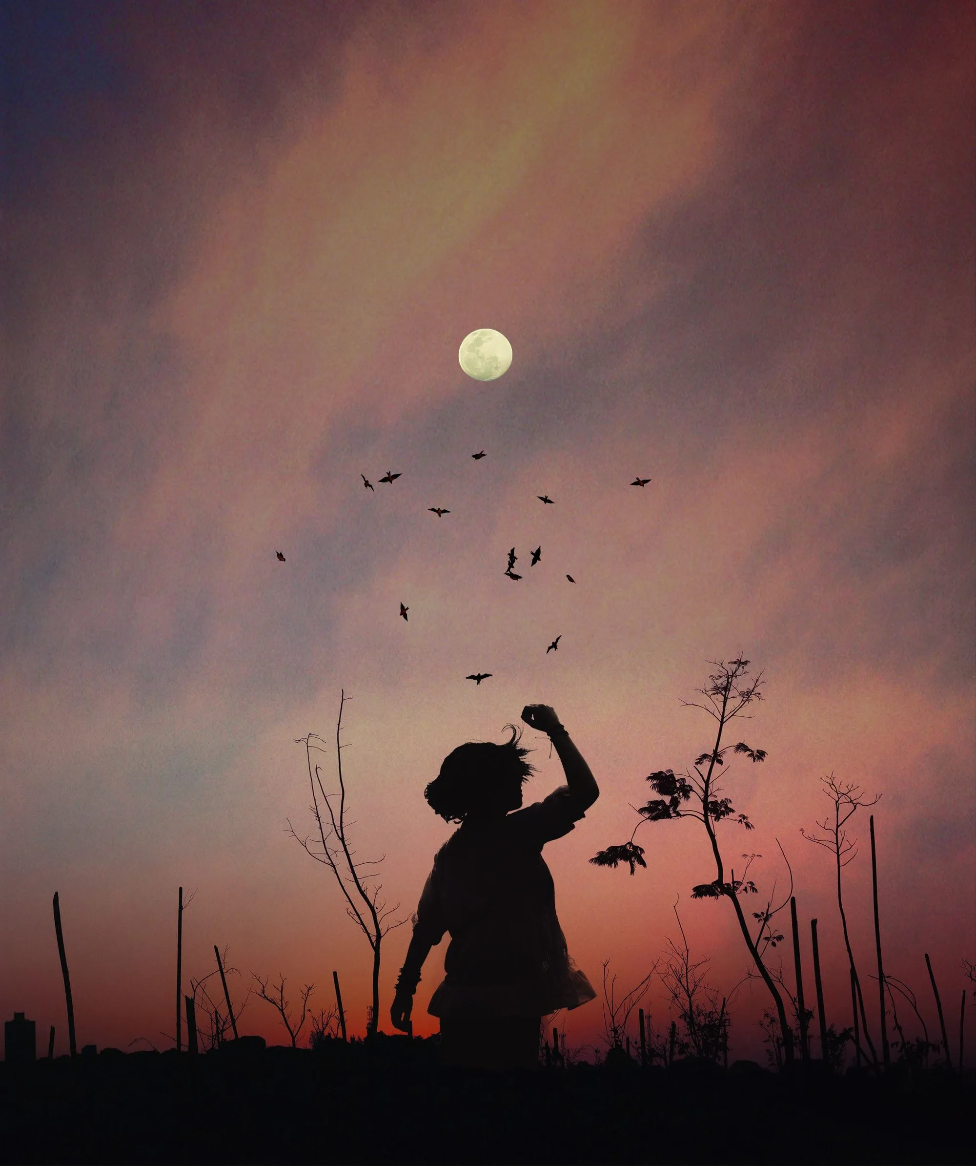 Phone wallpaper: Girl, Silhouette, Dark, Sunset, Grass 53325