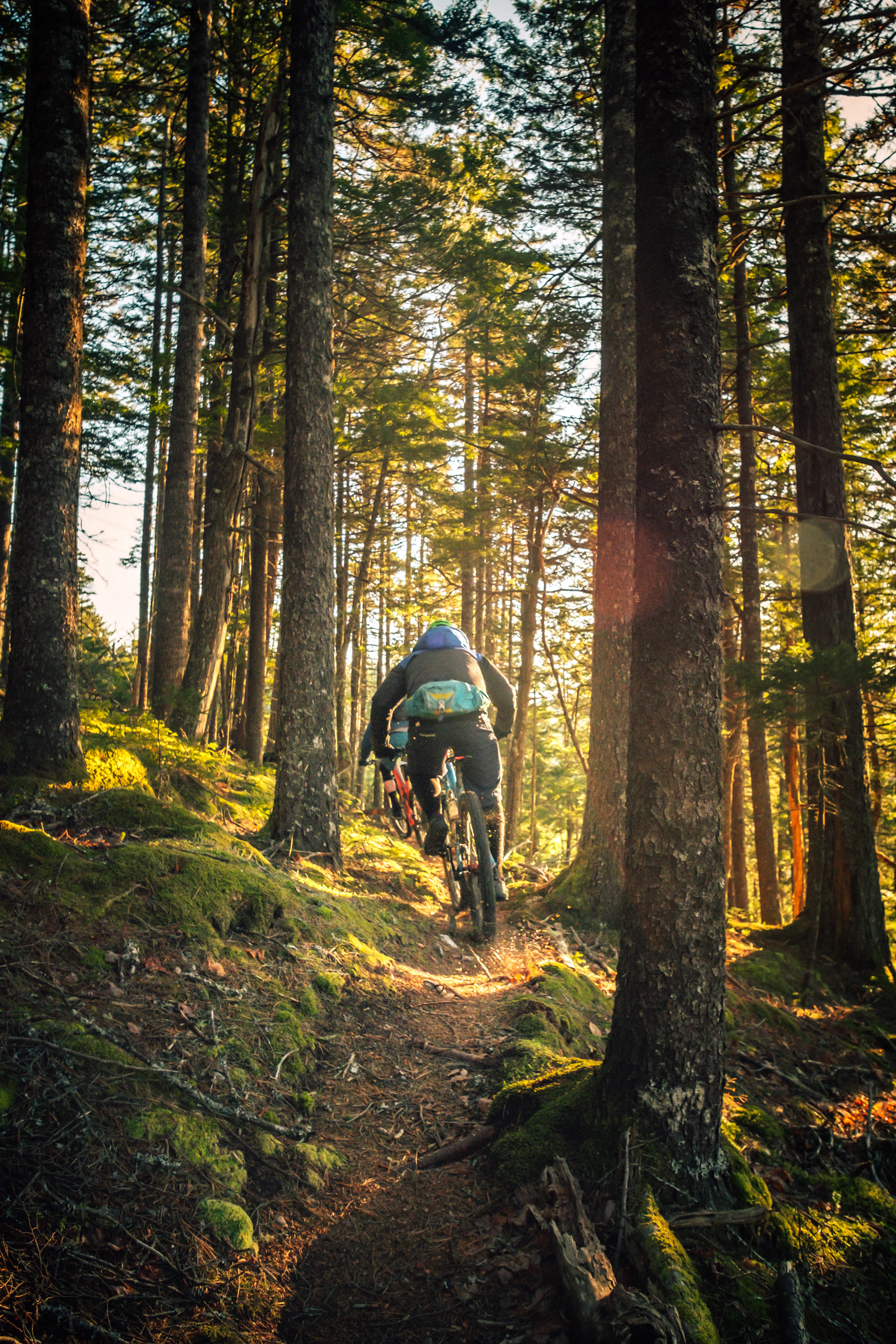 Mountain Biking Picture. Download Free Image