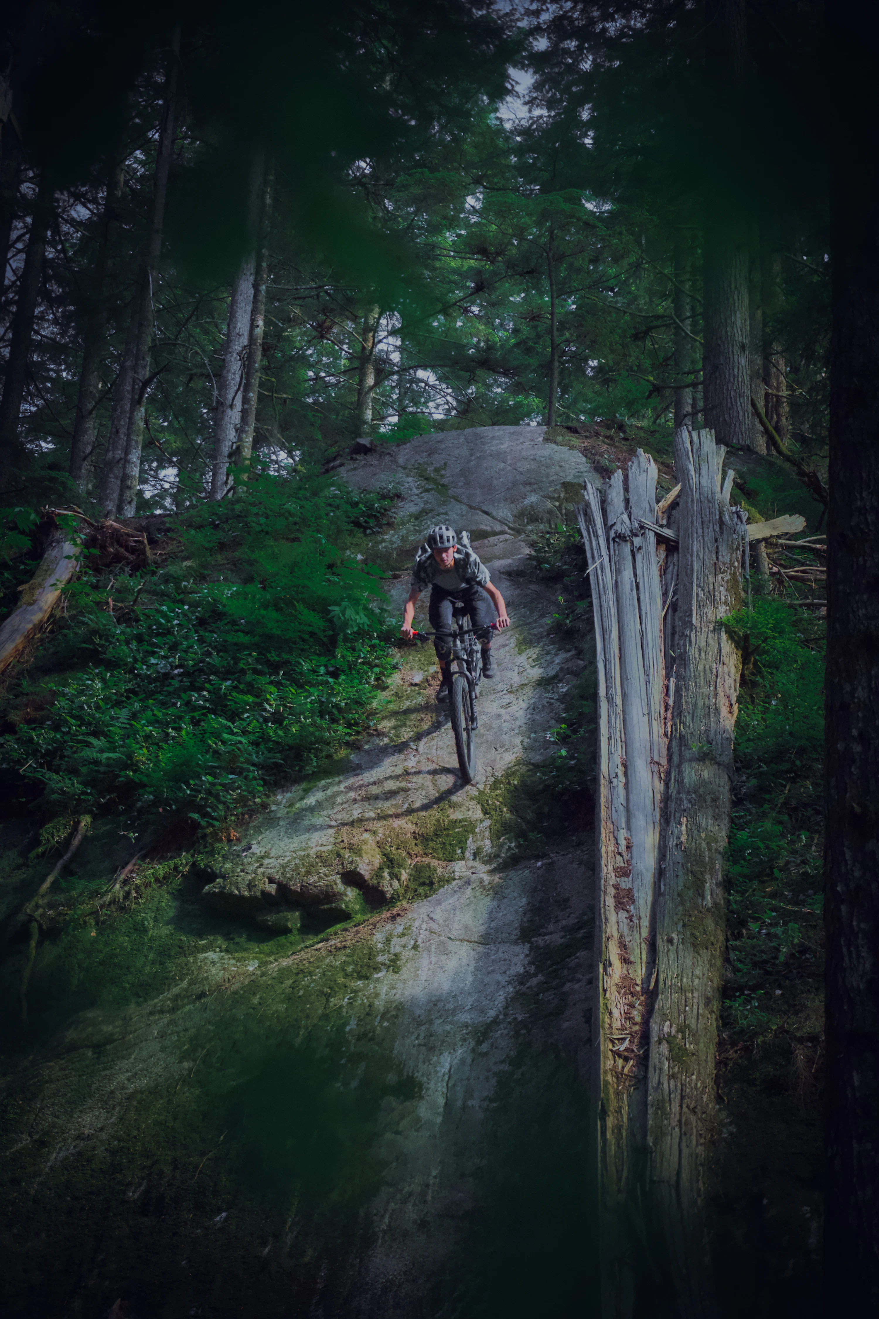 Mountain Biking Picture. Download Free Image