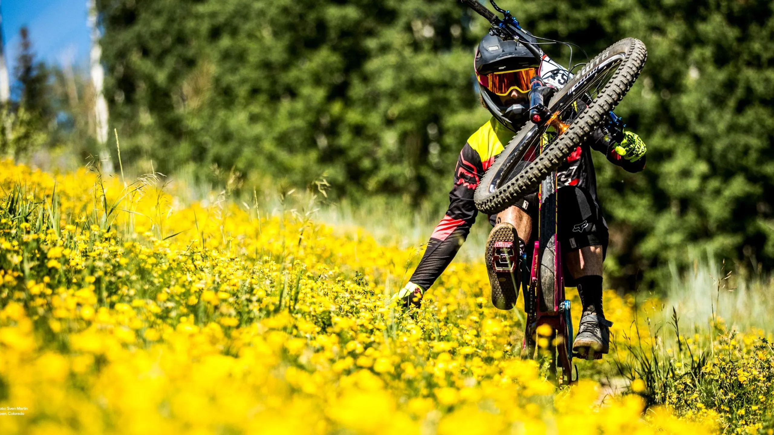 Cycling Mountain Bike Wallpaper