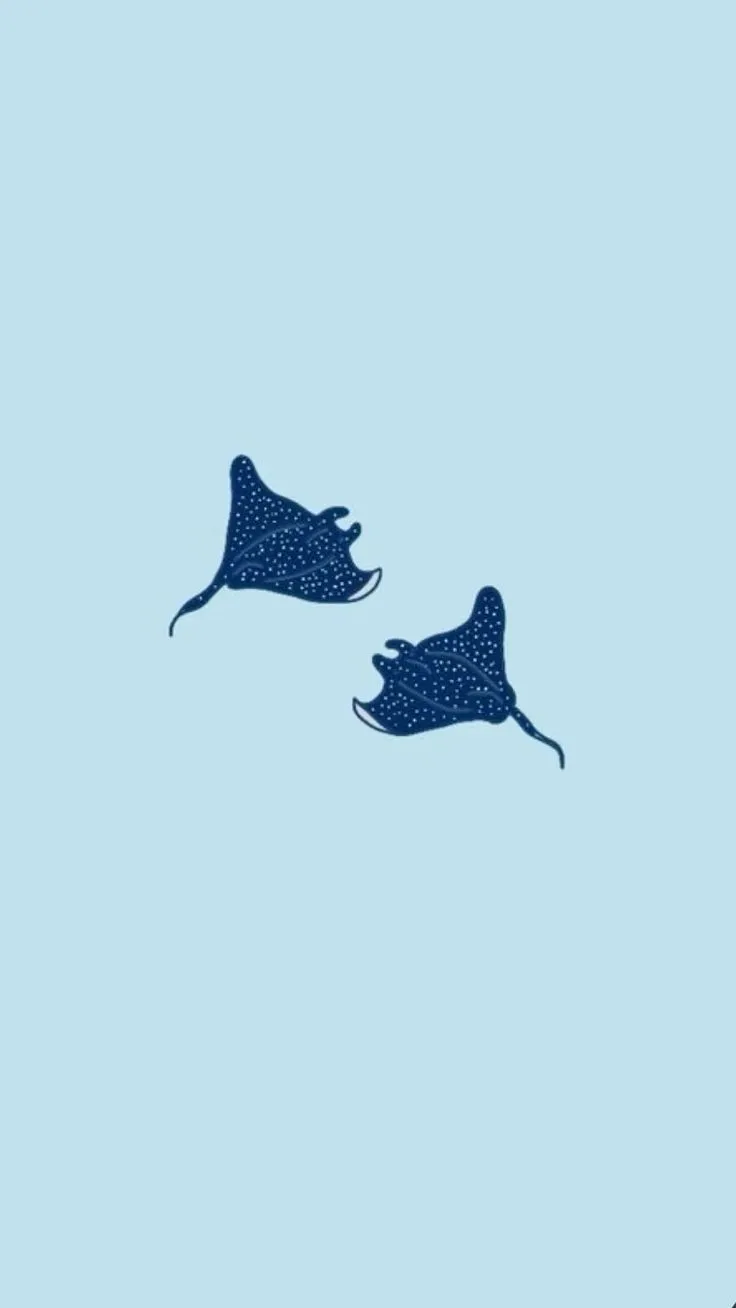 cute stingray ocean wallpaper summer iphone android