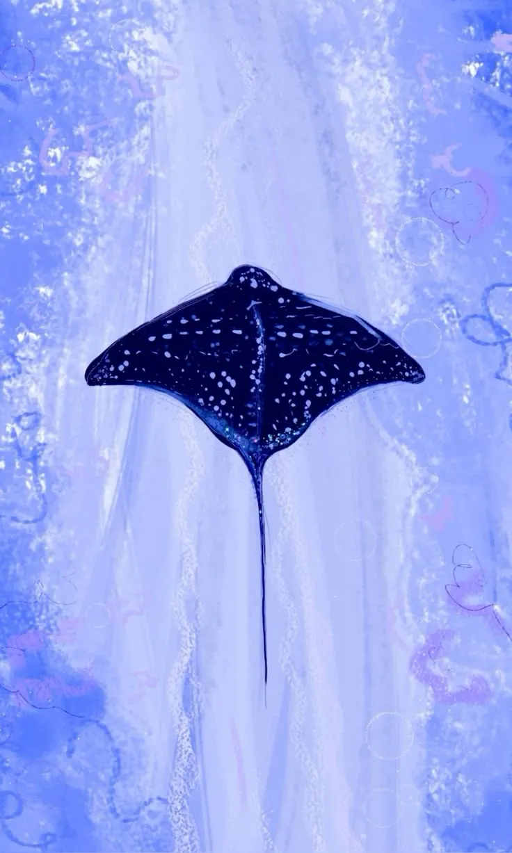 Stingray