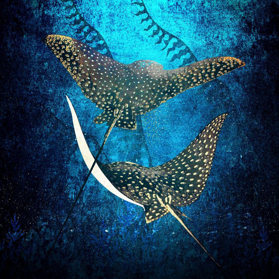Free of Golden Stingrays Spotted Eagle Rays. Download Free Image and Free Illustrations