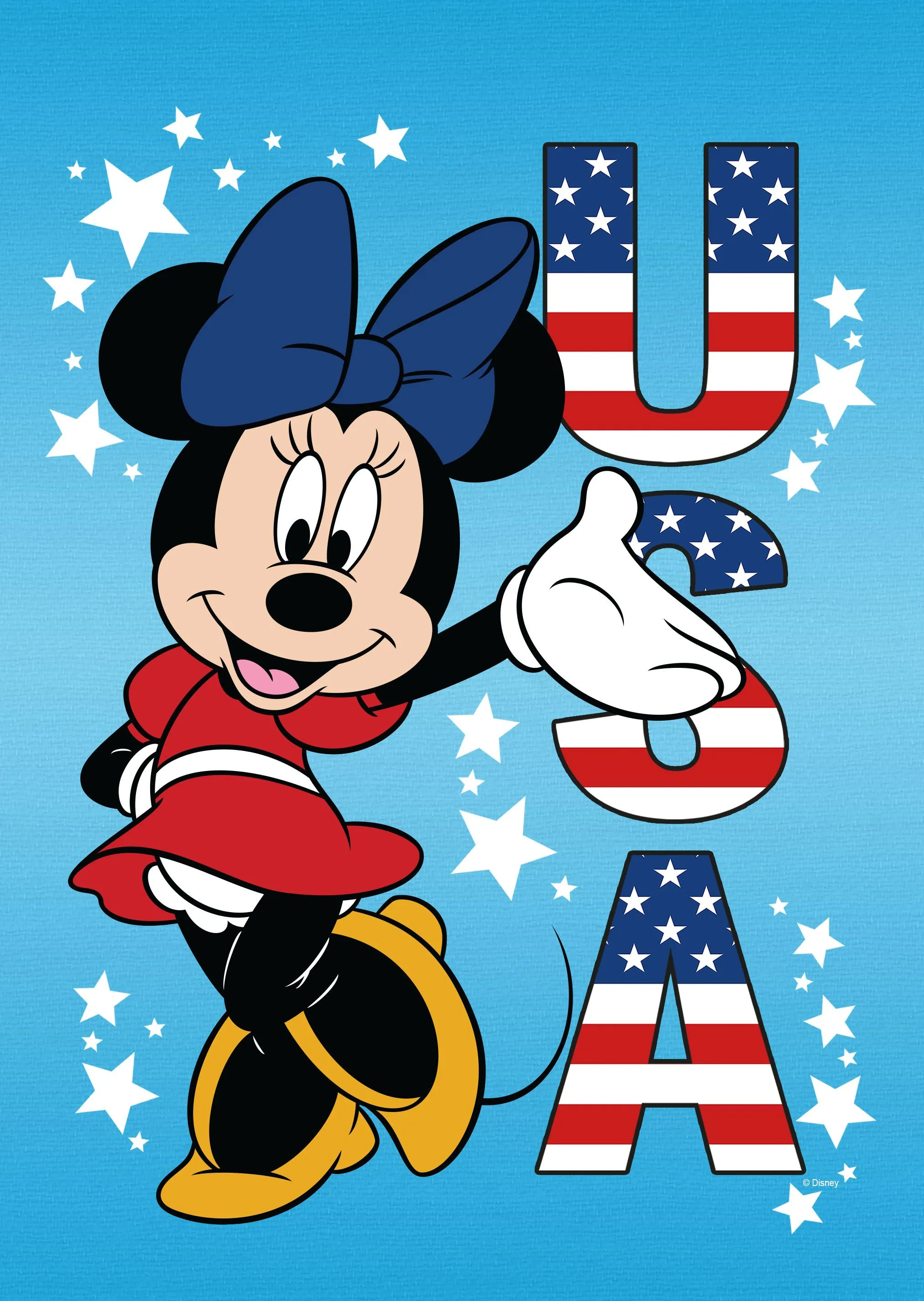 Disney 1.5 Ft W X 3.28 Ft H 4Th Of July Garden Flag Kit At Lowes.com