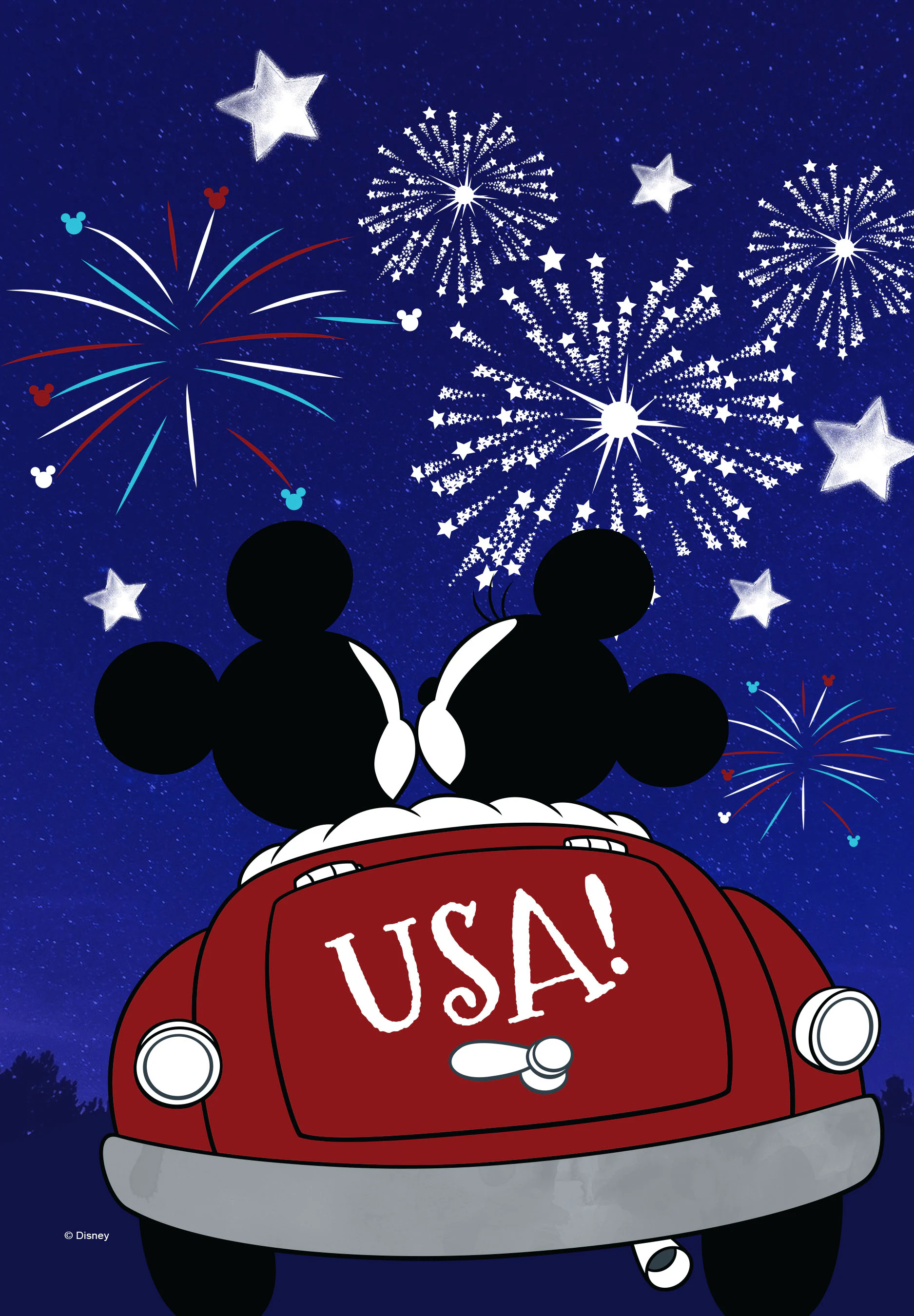Disney 1.5 Ft W X 3.28 Ft H 4Th Of July Garden Flag Kit At Lowes.com