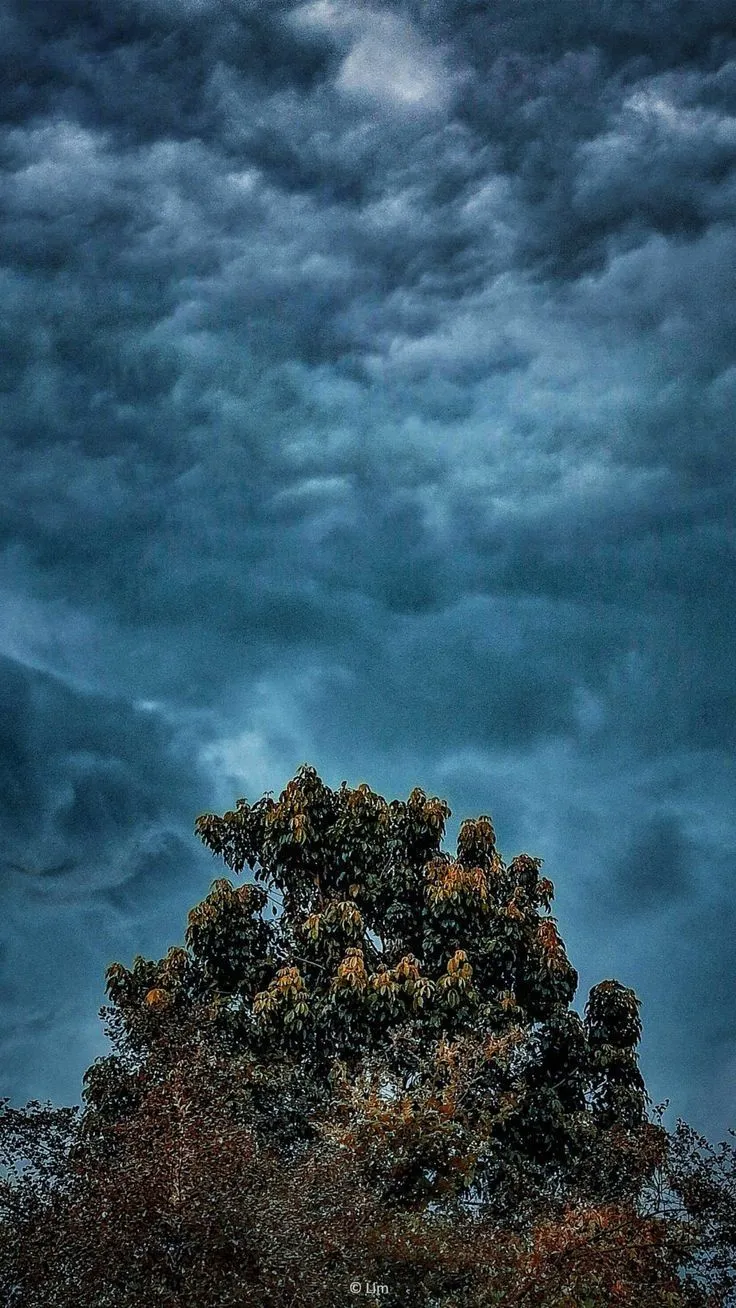Best Nature Wallpaper for Mobile Phones. Cloud background HD 4k, Tree and storm clouds, Aesthetic background