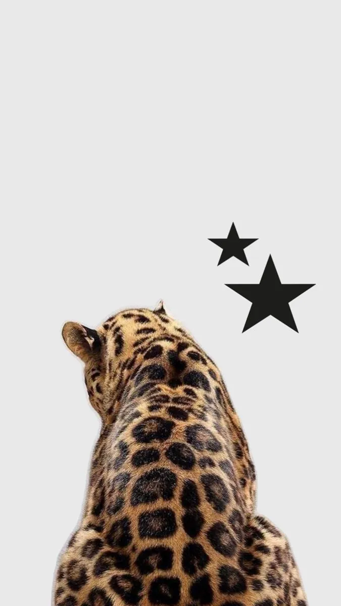Cheetah wallpaper. Cheetah wallpaper ipad