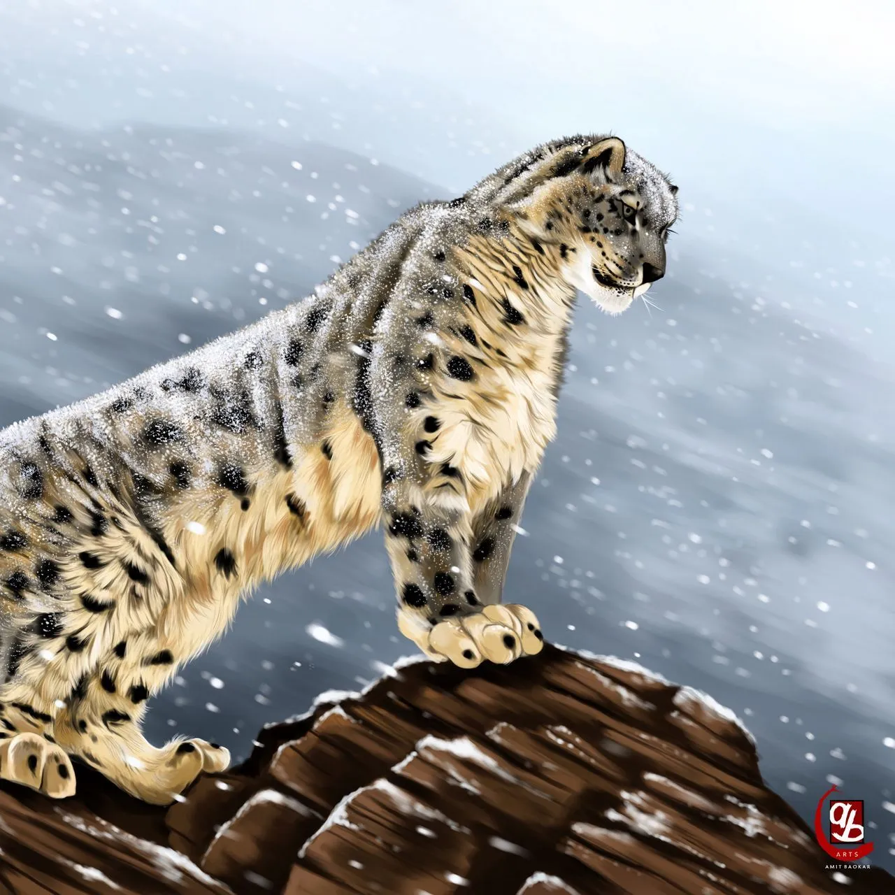 Download wallpaper 1280x1280 snow leopard, big cat, predator, glance, stones, art ipad, ipad 2, ipad mini for parallax HD background