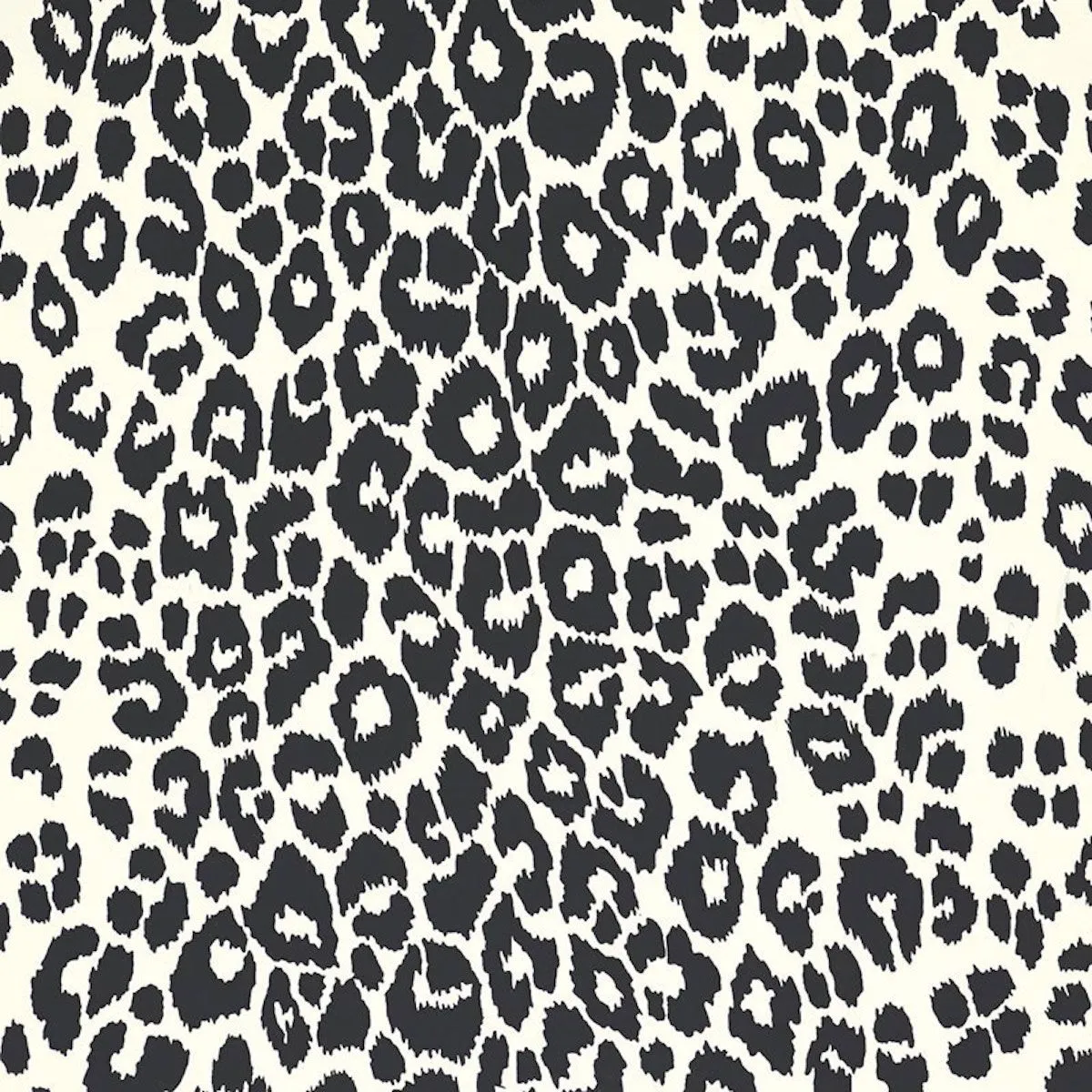Iconic Leopard