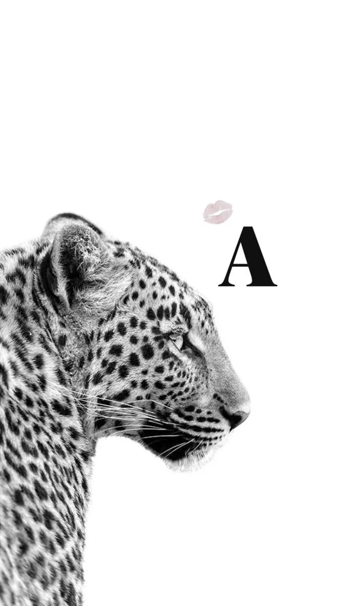 A is the best. White lepord wallpaper, Leopard poster ideas, Leopard wallpaper ipad