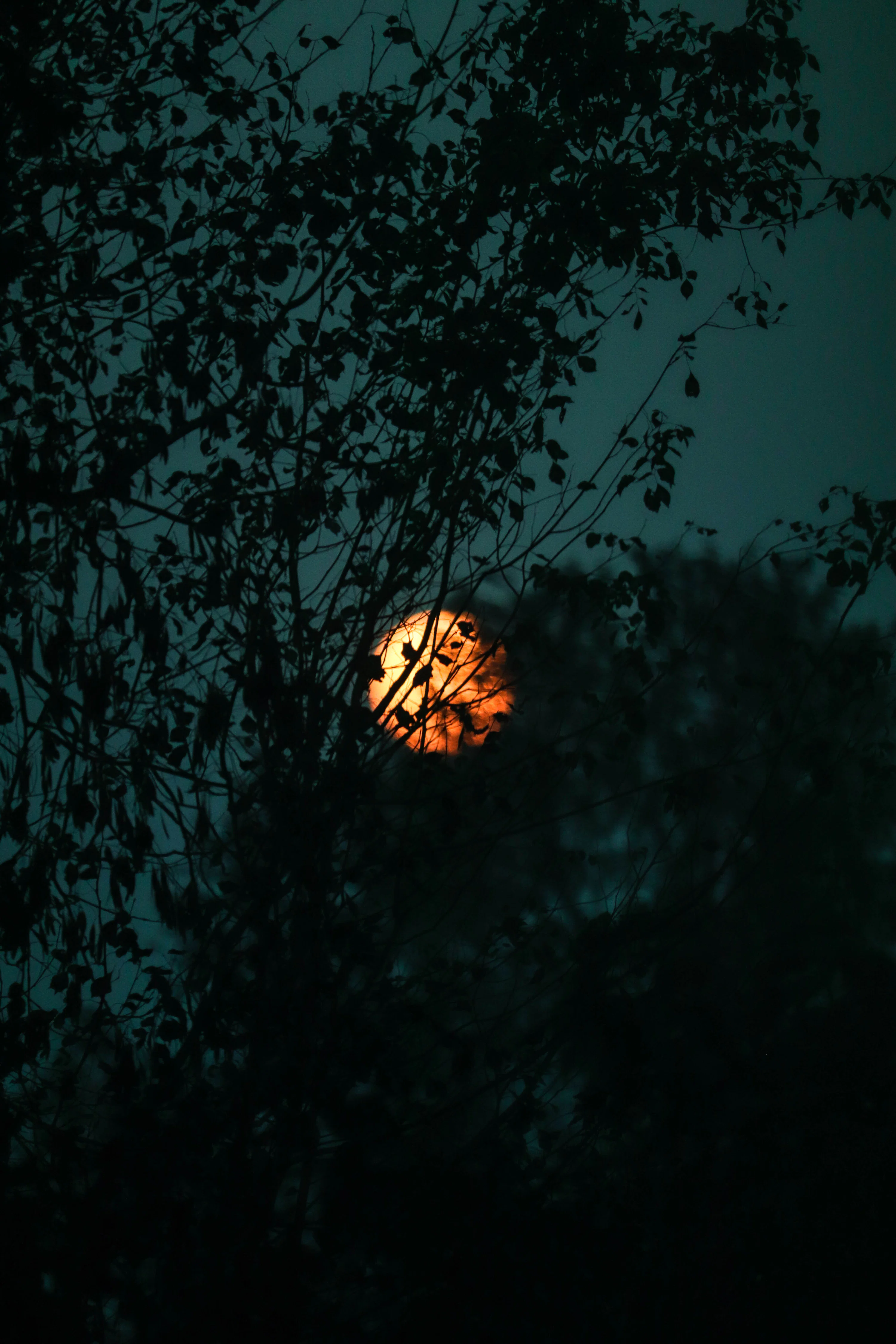 Cinematic Wallpaper Picture. Download Free Image