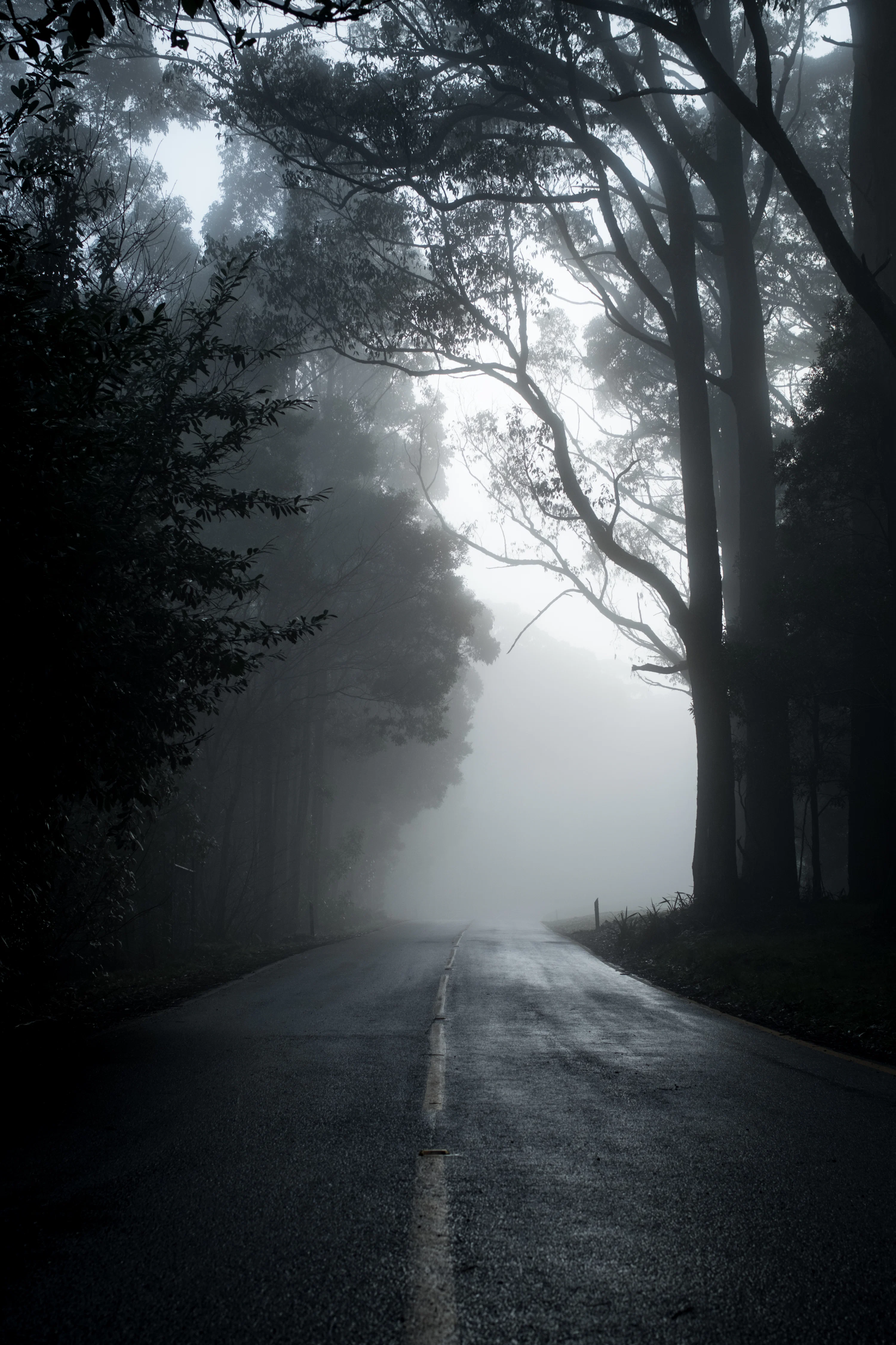Nature Dark Picture. Download Free Image
