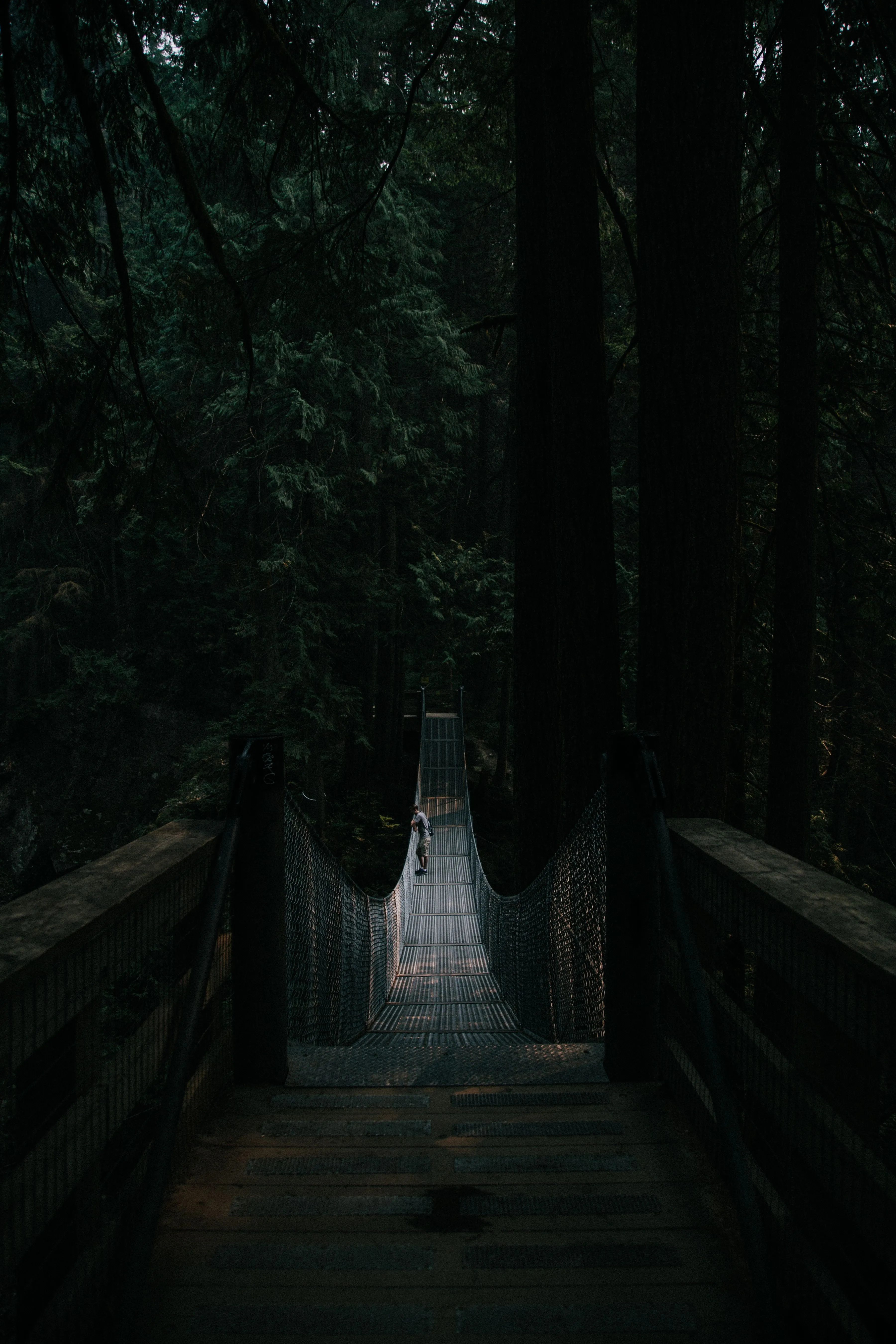 Phone wallpaper: Loneliness, Dark, Nature, Forest, Bridge, Suspension, Hanging 140042