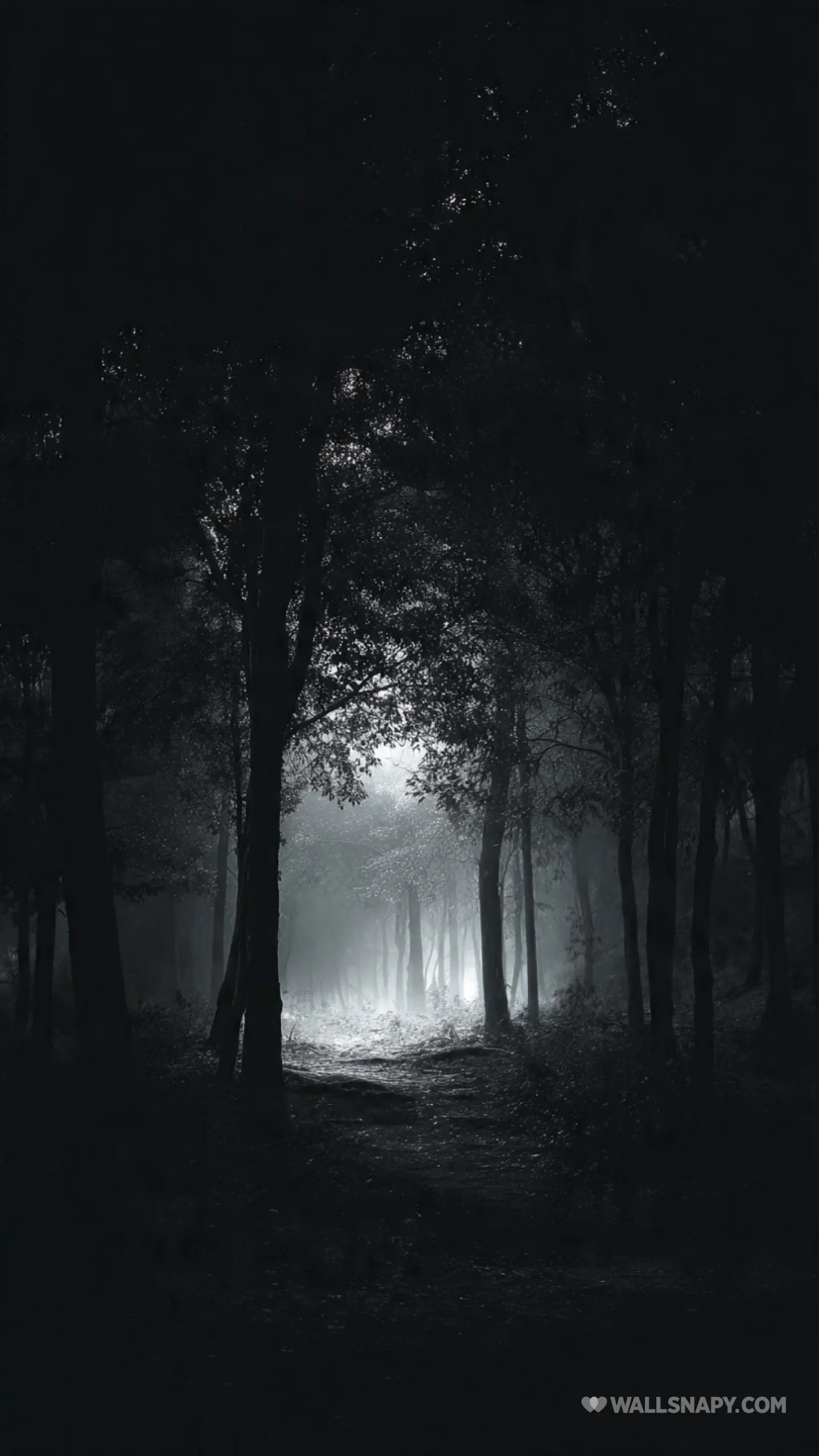 Amoled aesthetic forest mobile 4k wallpaper