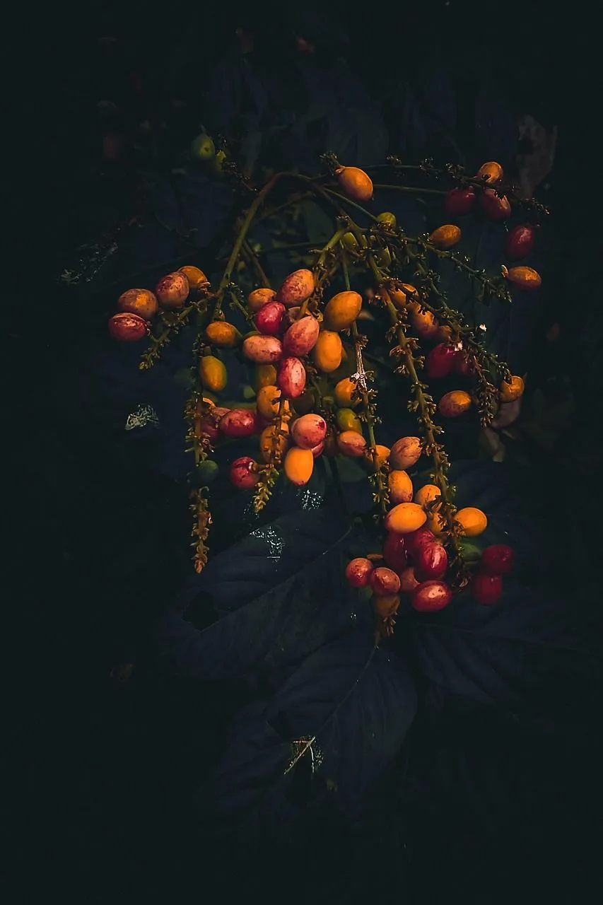 Fruits Dark Nature