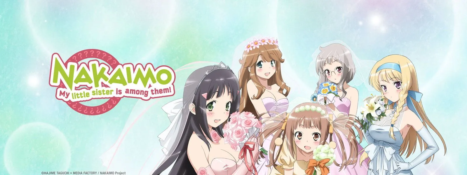 Anime Review: Kono Naka ni Hitori, Imouto ga Iru!. Witty Anime Viewers