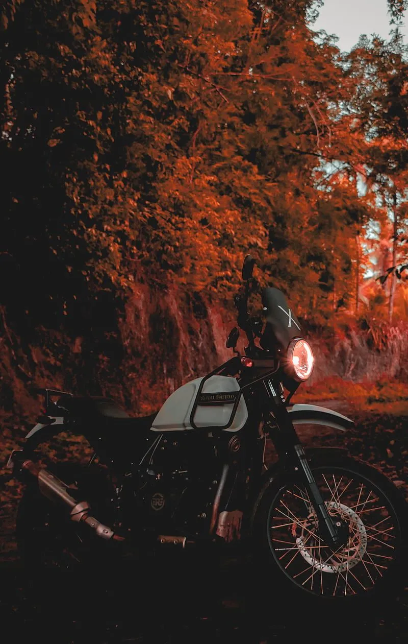 RE Himalayan, bike, enfield, motorcycle, royal, HD phone wallpaper