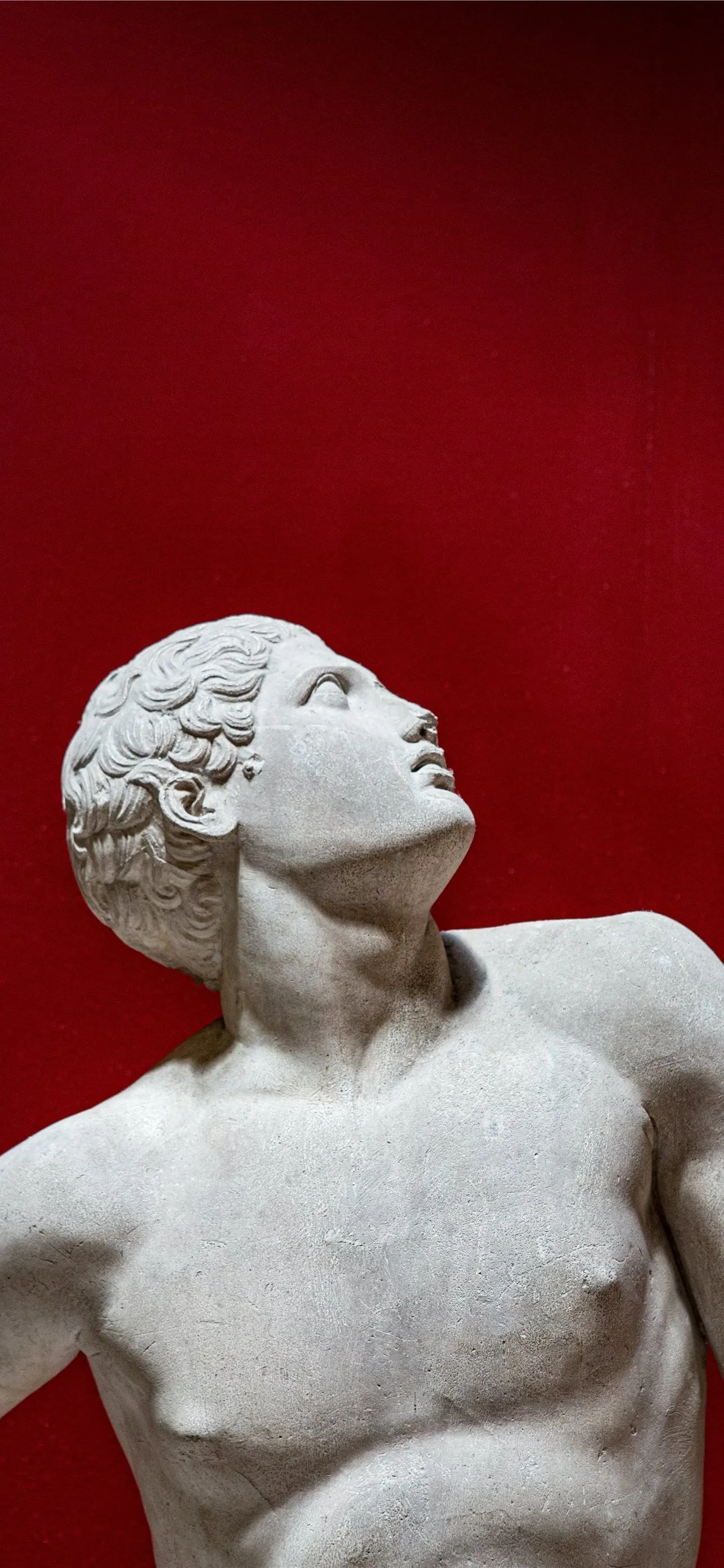 Grecian male statue looks up on red background iPhone Wallpaper Free Download