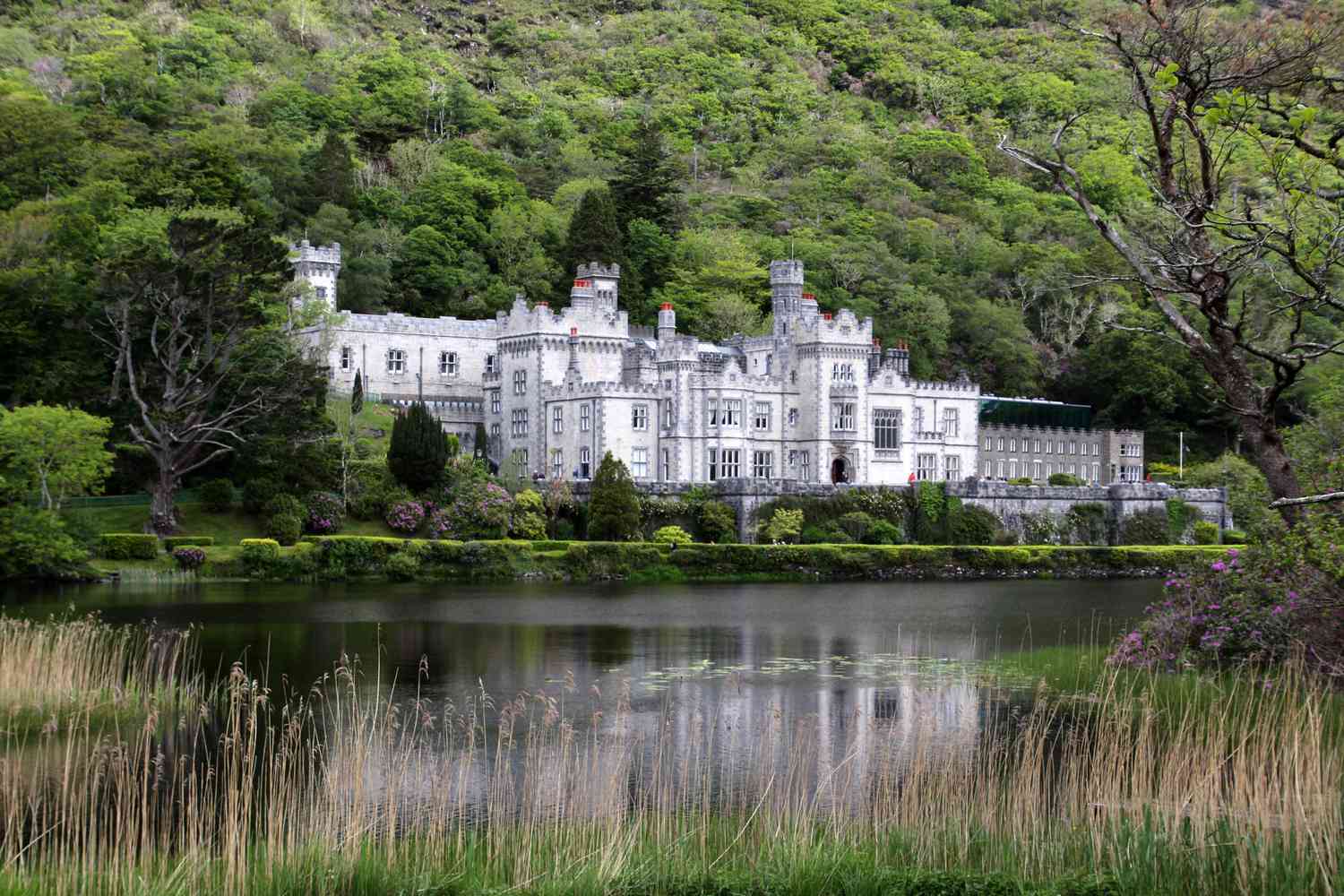 Stunning Castles to Visit in Ireland