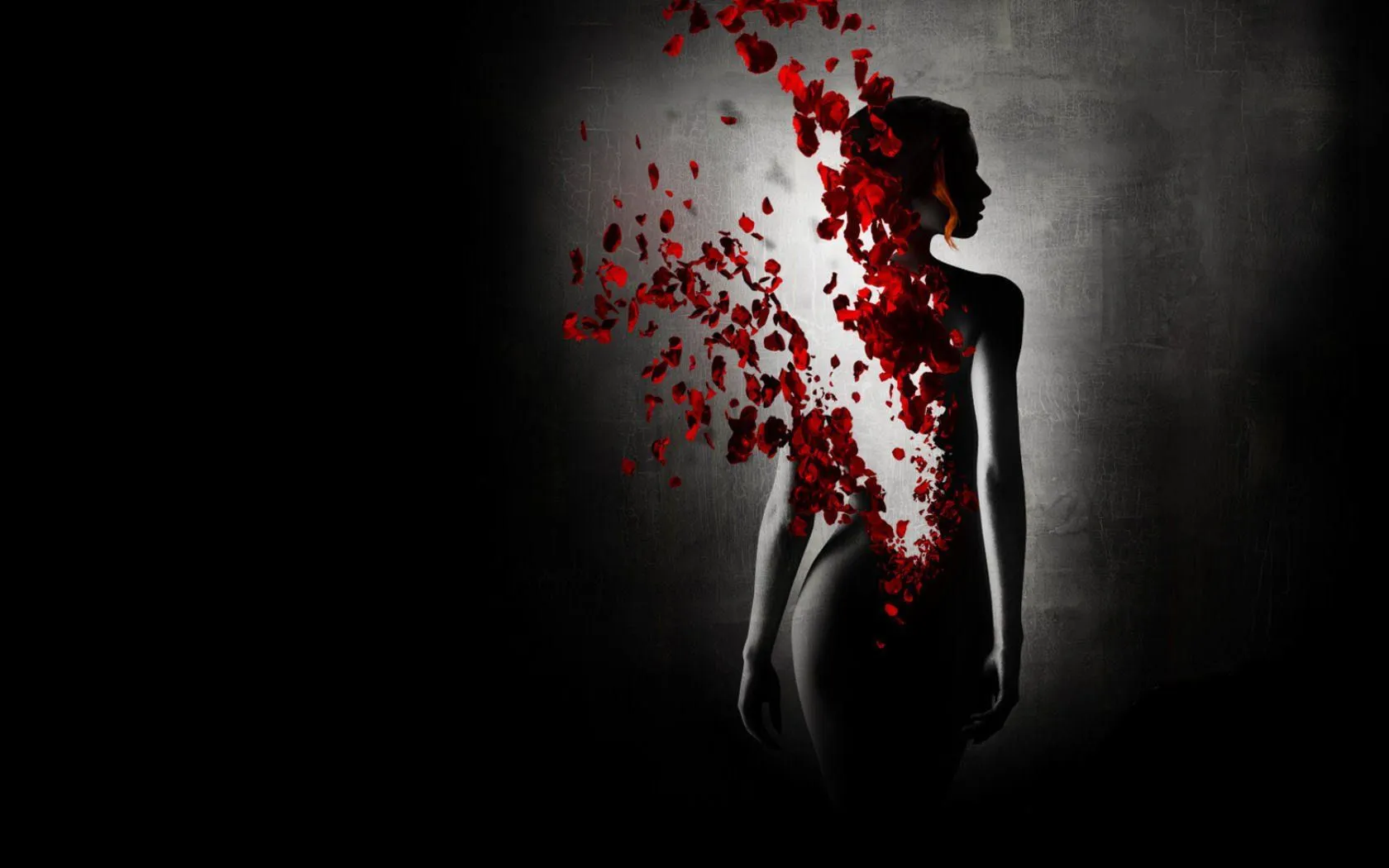arts, Rose, Petals, Girl, Black, Dissolution, Reincarnation Wallpaper HD / Desktop and Mobile Background